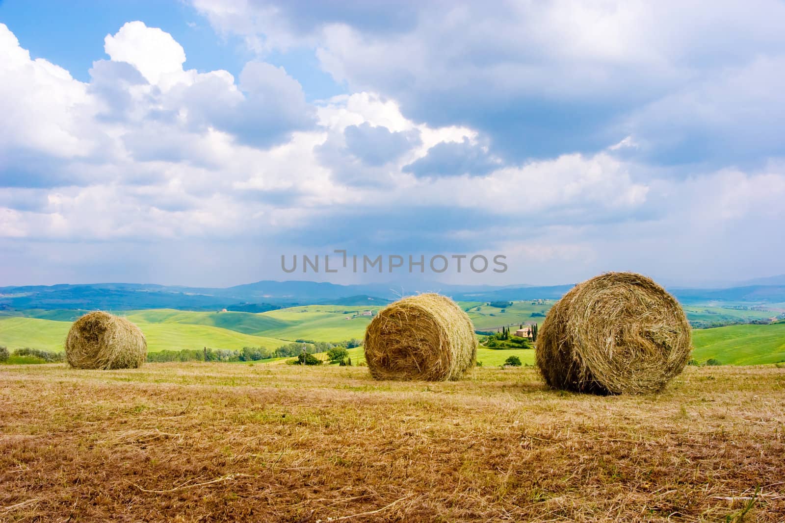 Hay bales on rural landscape. Tuscany, Italy