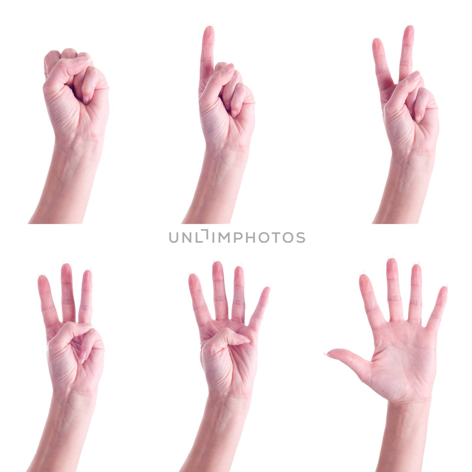 Hand gestures, counting to 5, over white background.