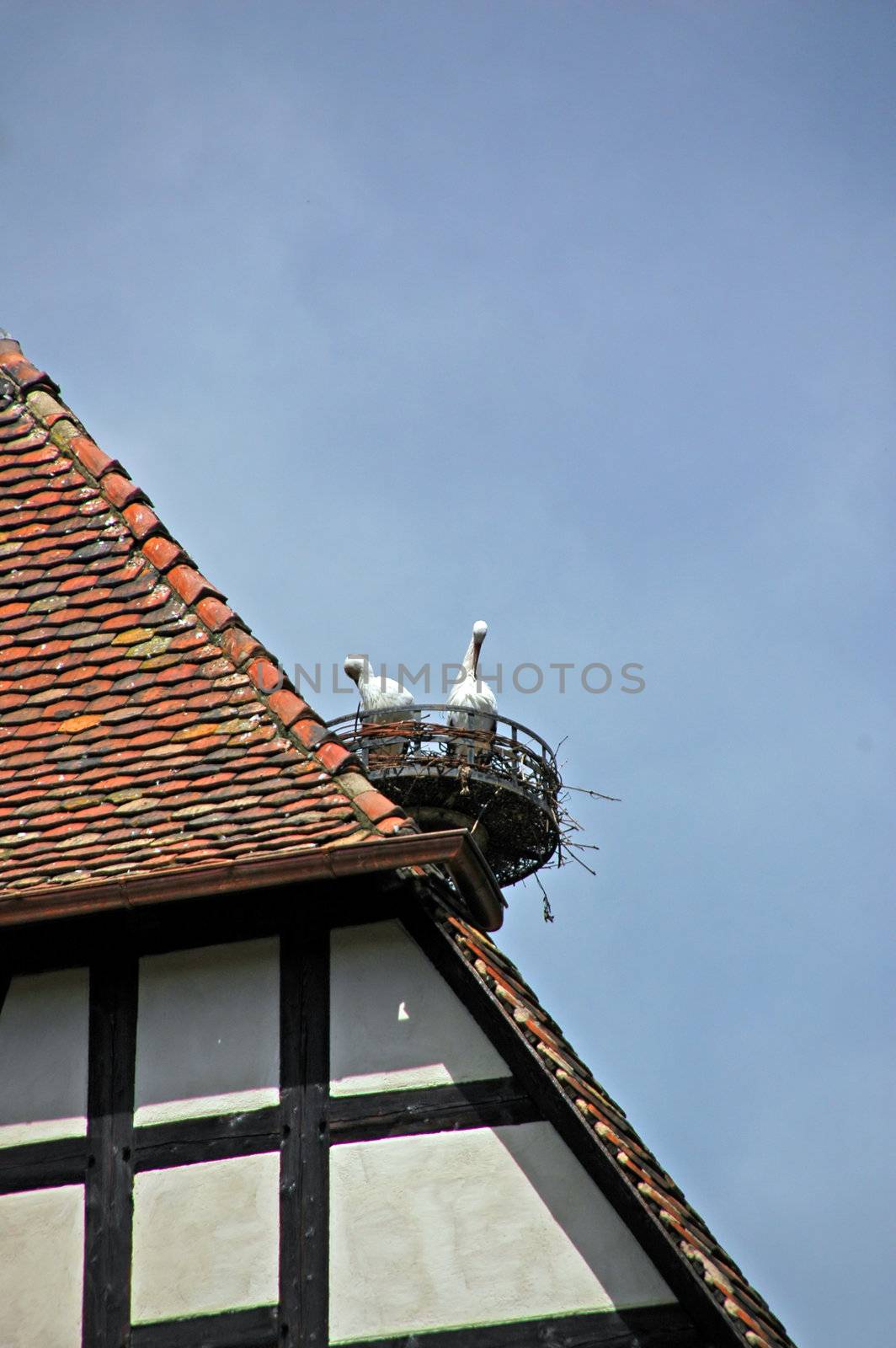 stork symbol of alsace in kaysersberg by raalves