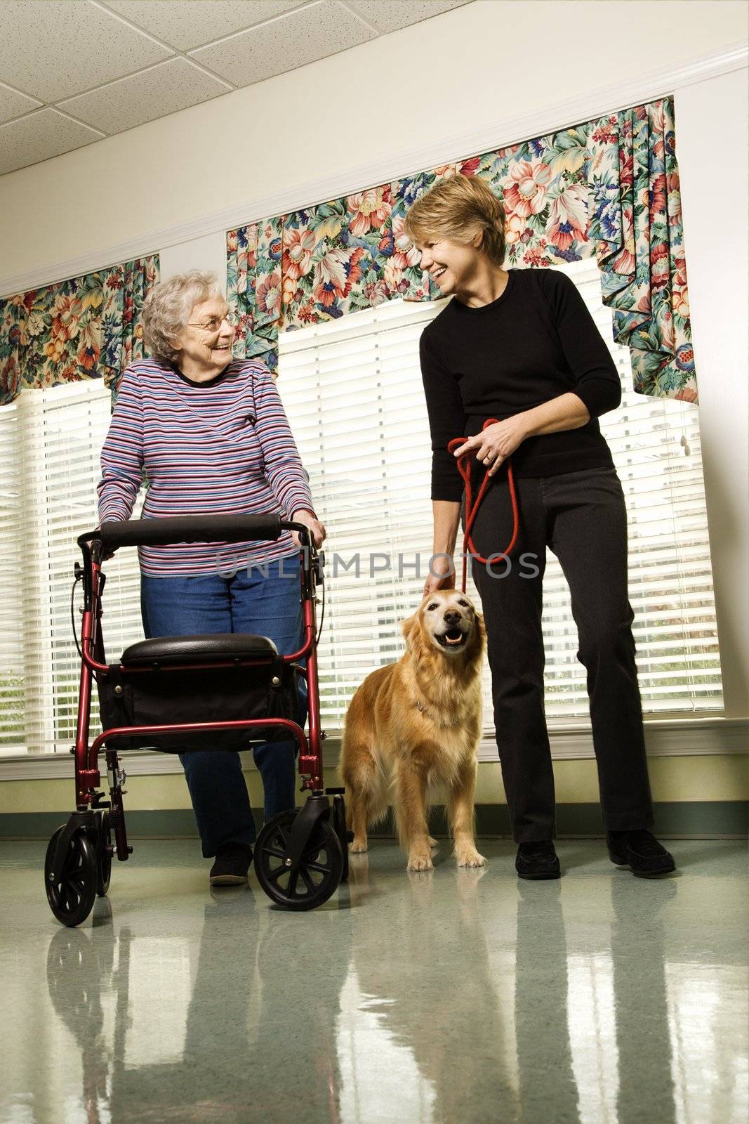 Elderly Caucasian woman using walker and middle-aged woman walking dog in hallway of retirement community center.
