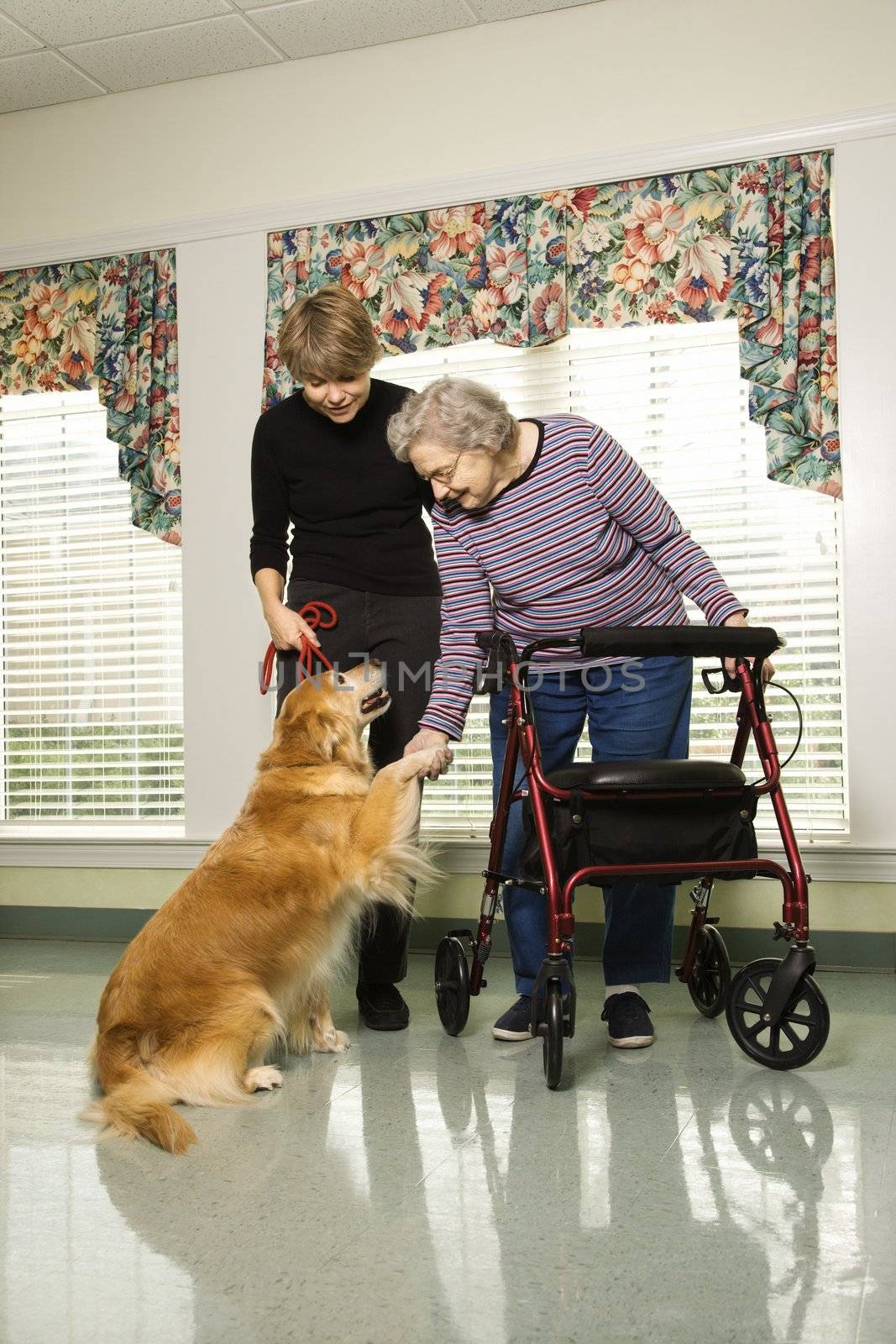 Elderly Caucasian woman using walker and middle-aged daugher petting dog in hallway of retirement community center.