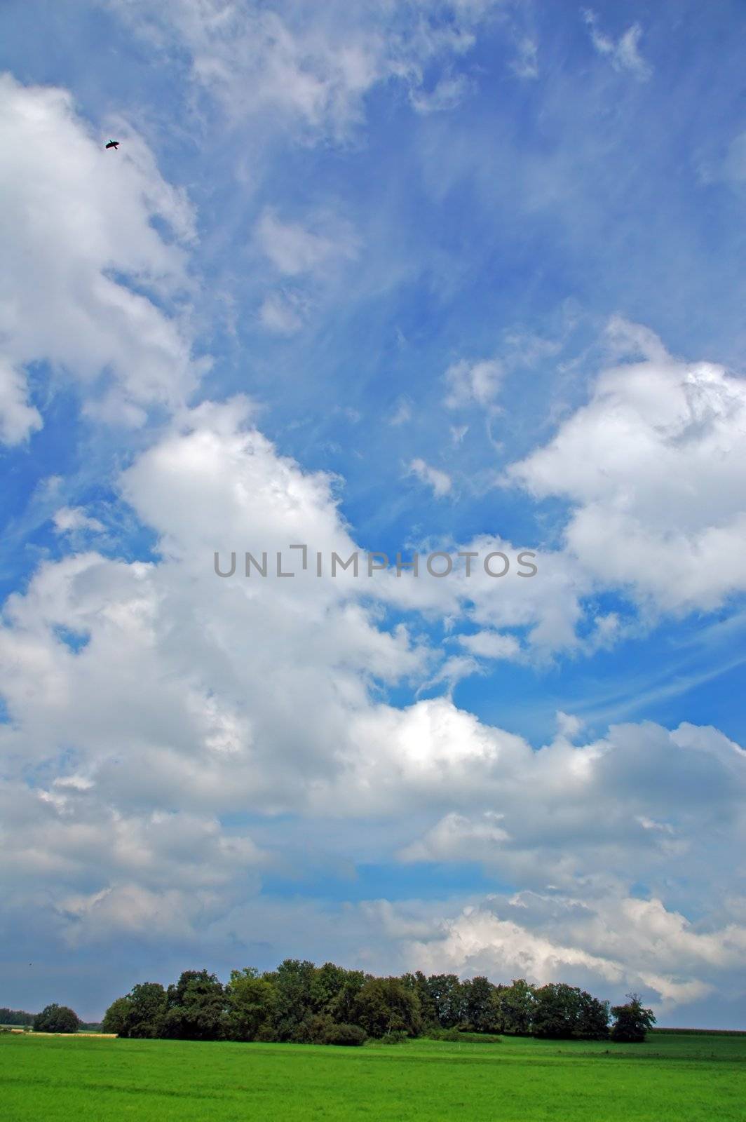 landscape with blue sky clouds and bird by raalves
