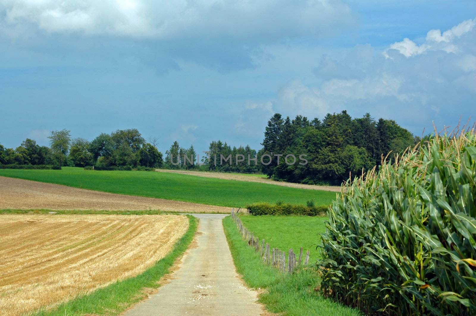 landscape of agriculture by raalves