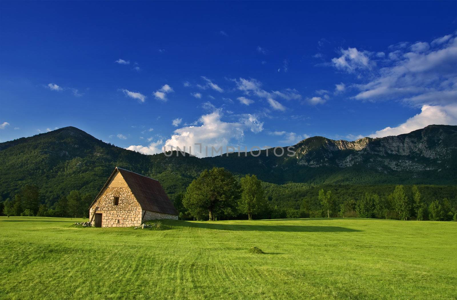 rural landscape with old house on the field