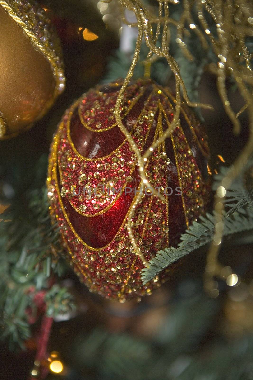 Red Christmas Ornament on a Tree by KevinPanizza