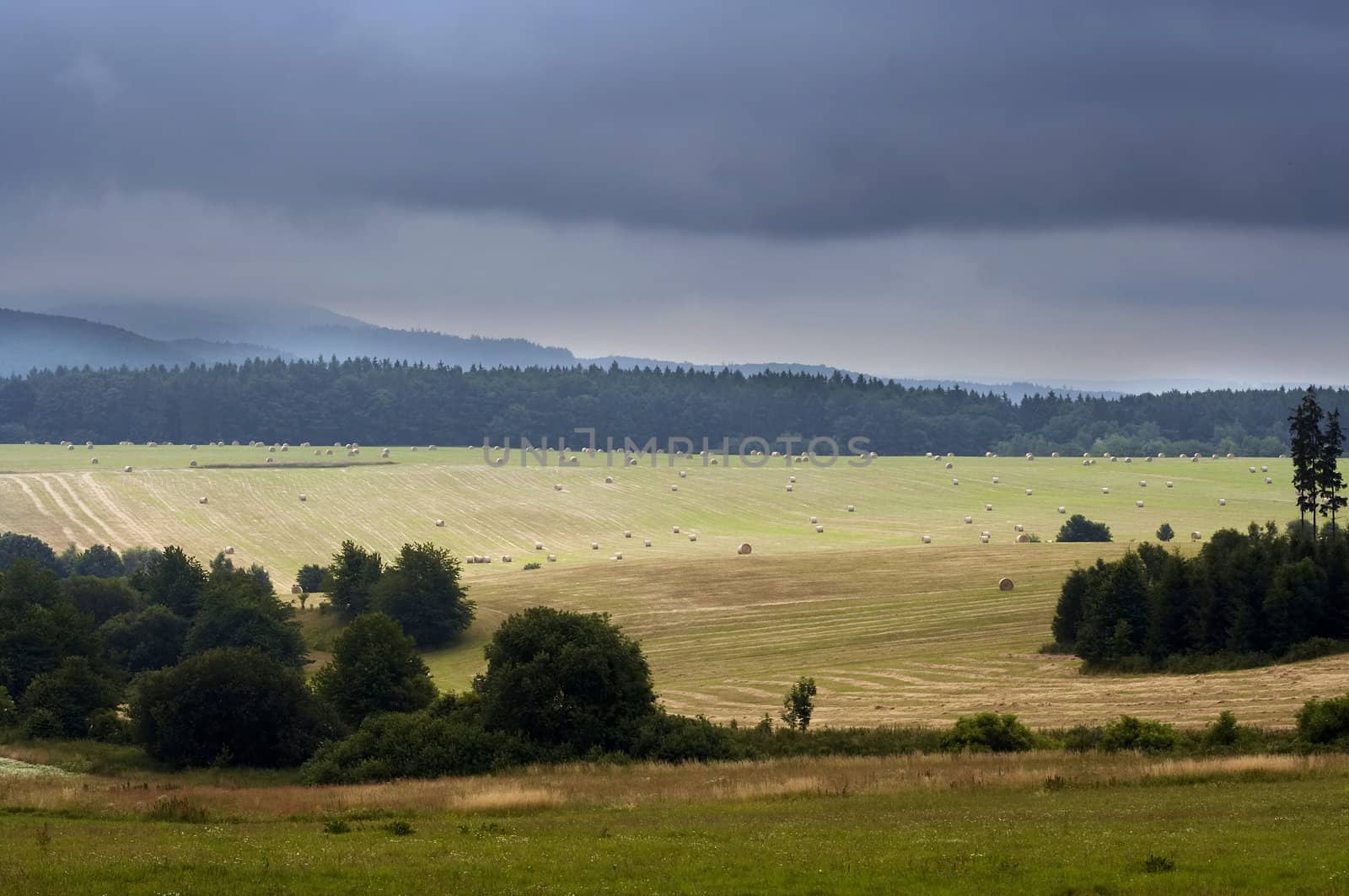 Image of the meadows, fields and forest - agriculture - haymaking time