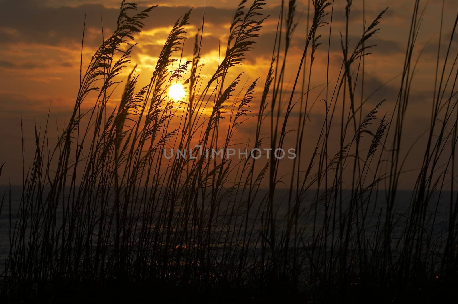 a picture of beach scene at dawn