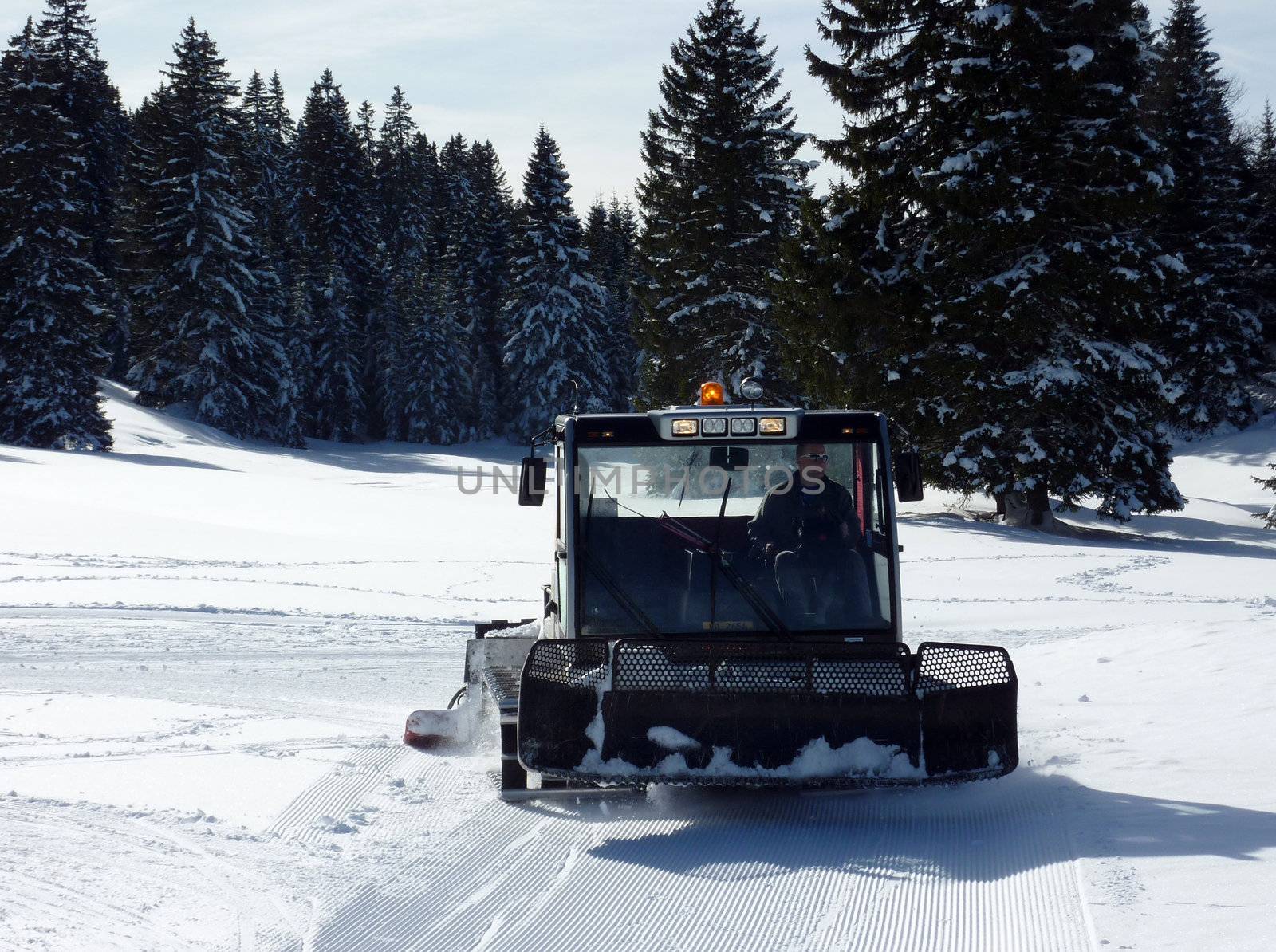 Face of a snowcat driven on the snow with fir trees behind
