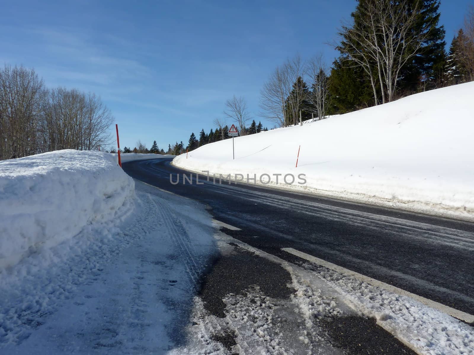 Road in the mountain surrounded by fir trees by winter