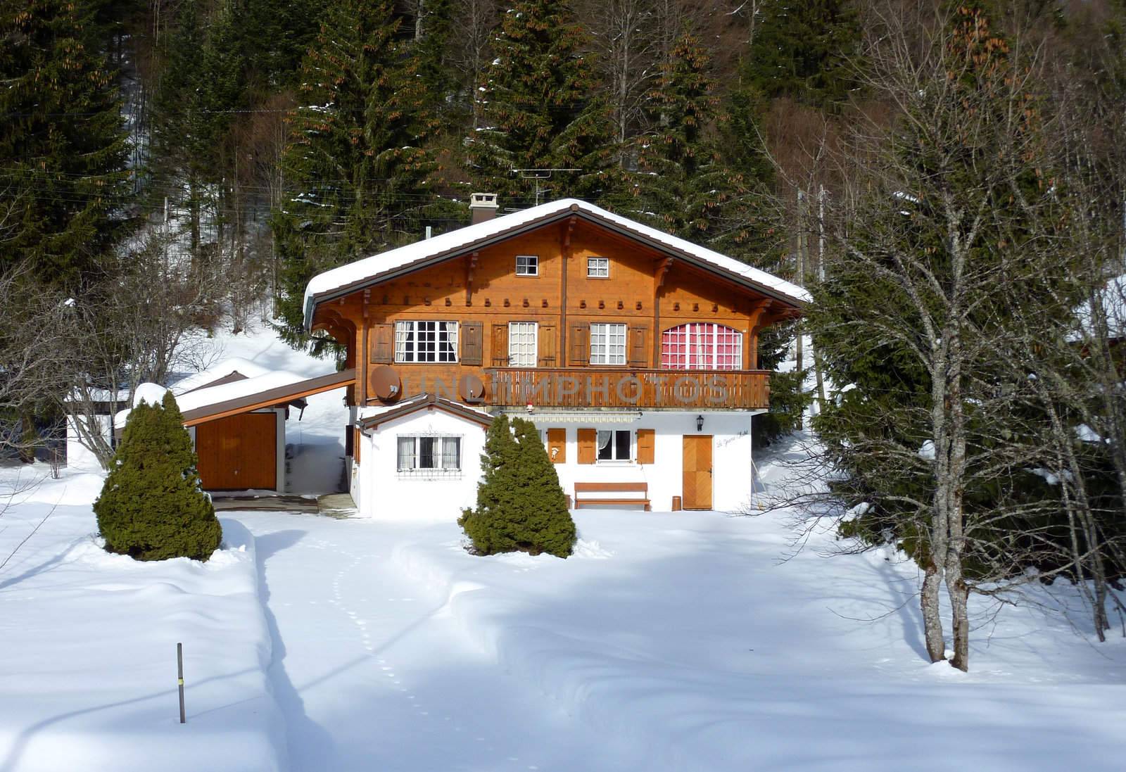 Chalet made of wood with forest of fir trees behind in Jura mountain Switzerland by winter