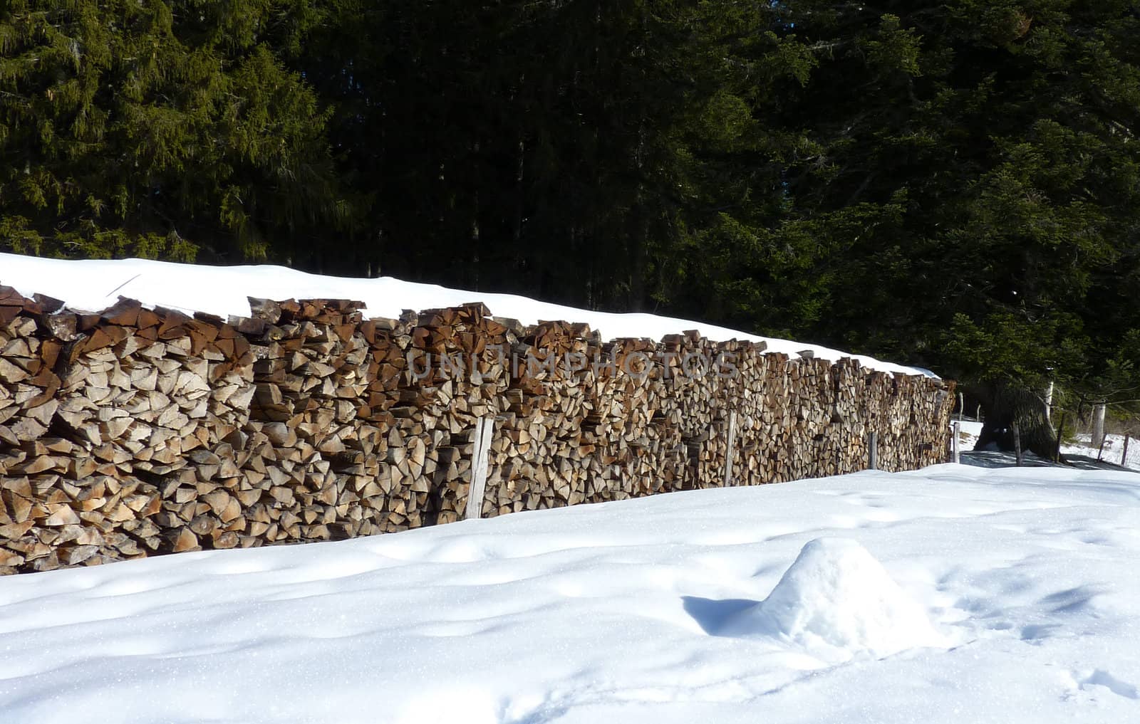 Logs by winter by Elenaphotos21
