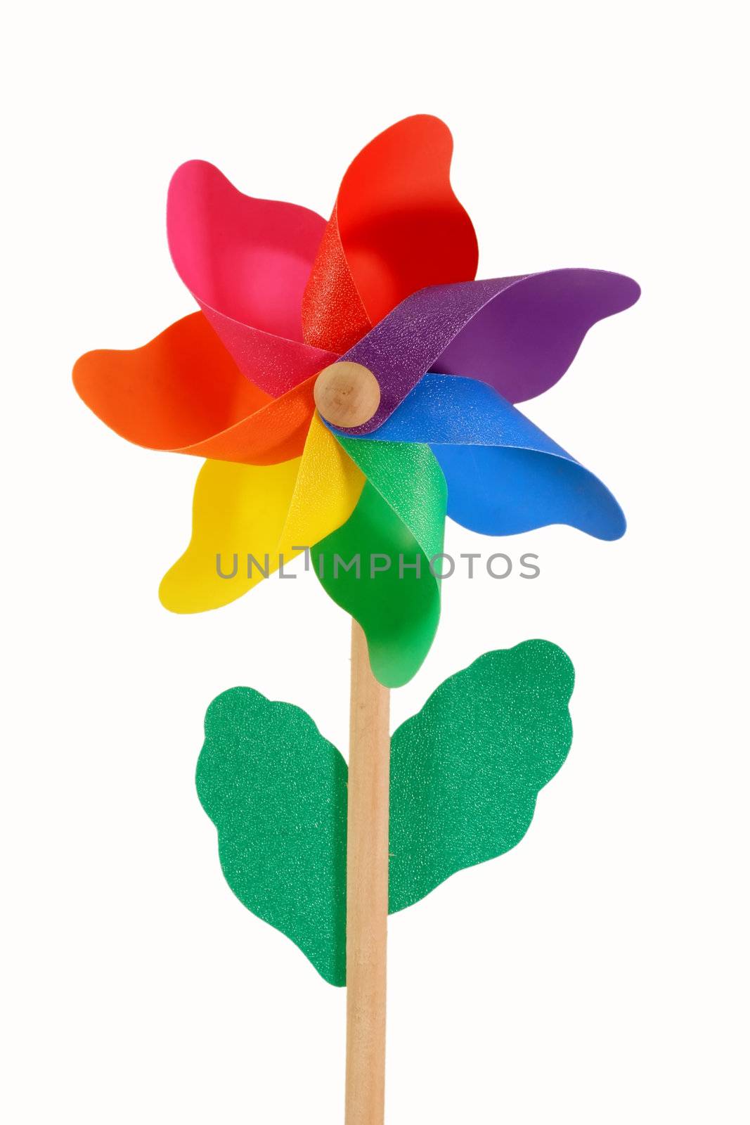 Colored pinwheel isolated on white


