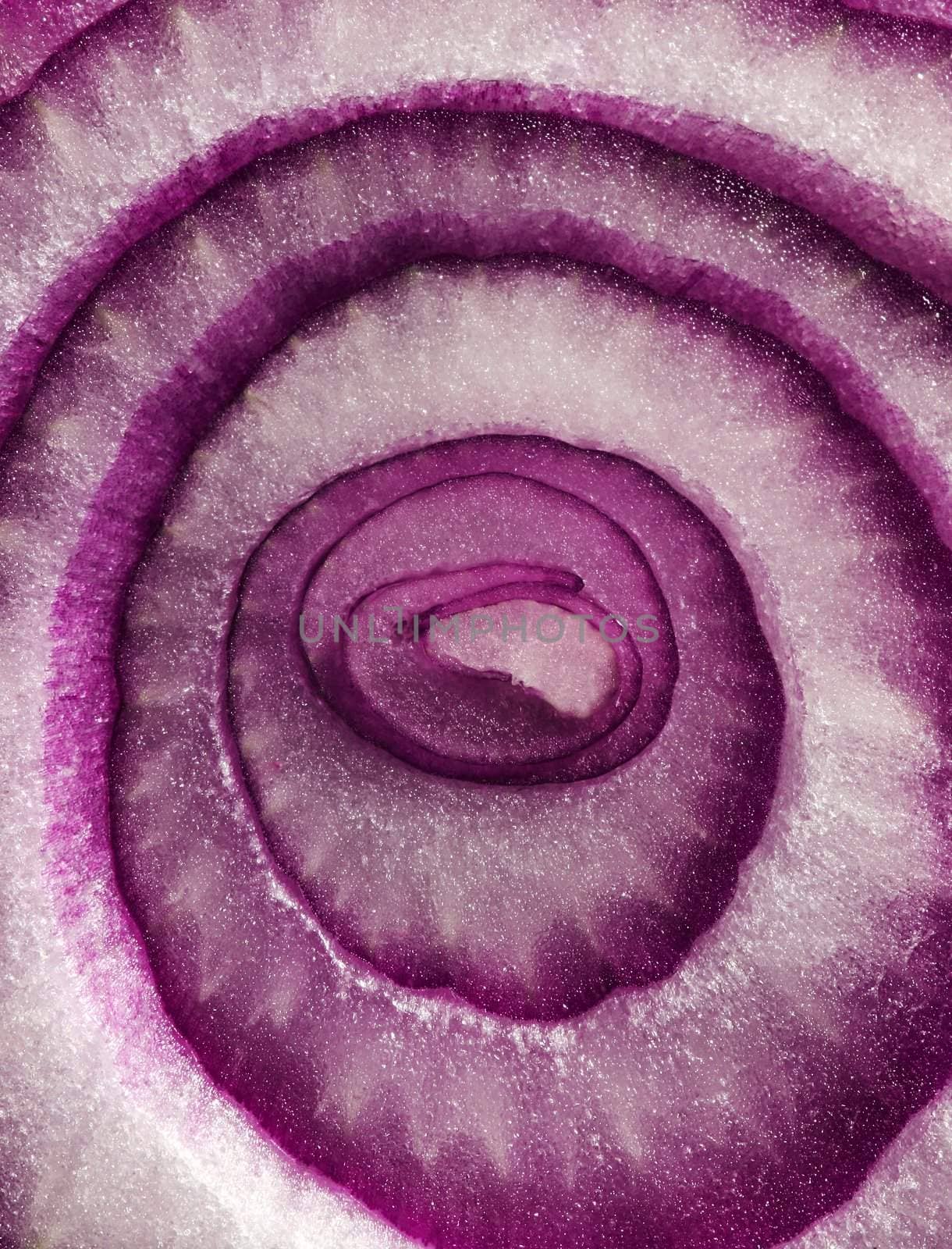 Extreme macro of a sliced purple onion