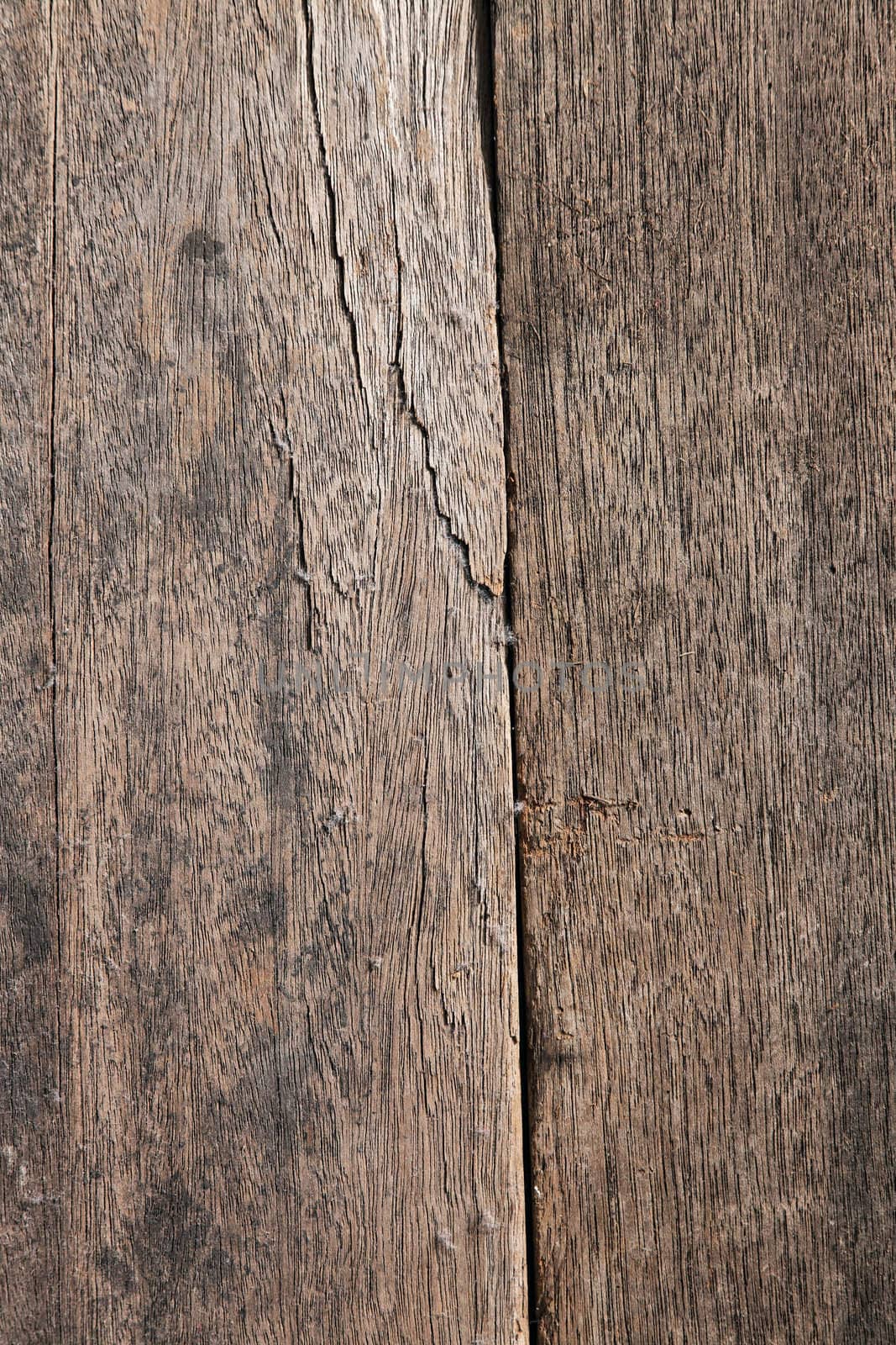 close up shot of wooden wall