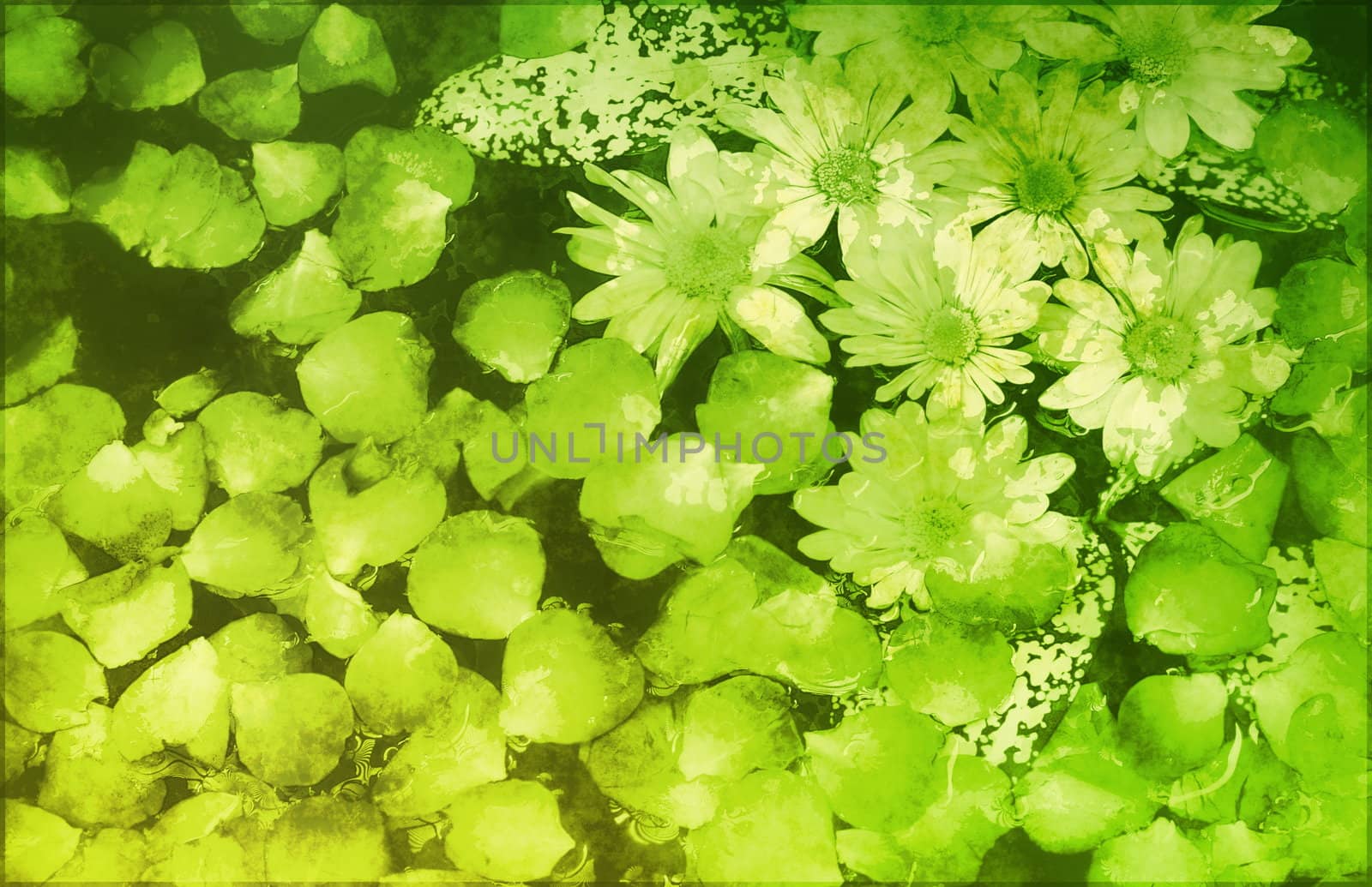 A Grunge Parchment Floral as Abstract Background