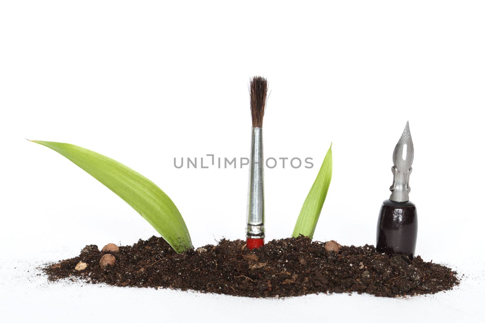 Green leaves, pen and paintbrush inside growing out of earth on white background 