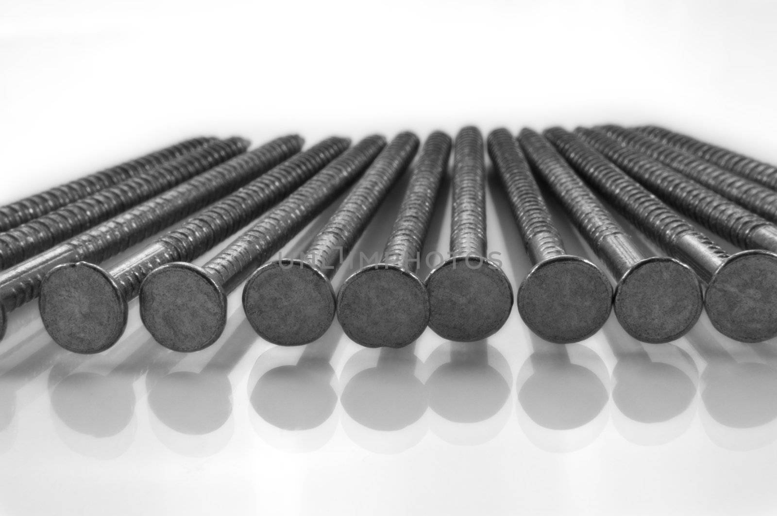 Close and low level angle capturing a group of steel ring shank nails arranged on white.