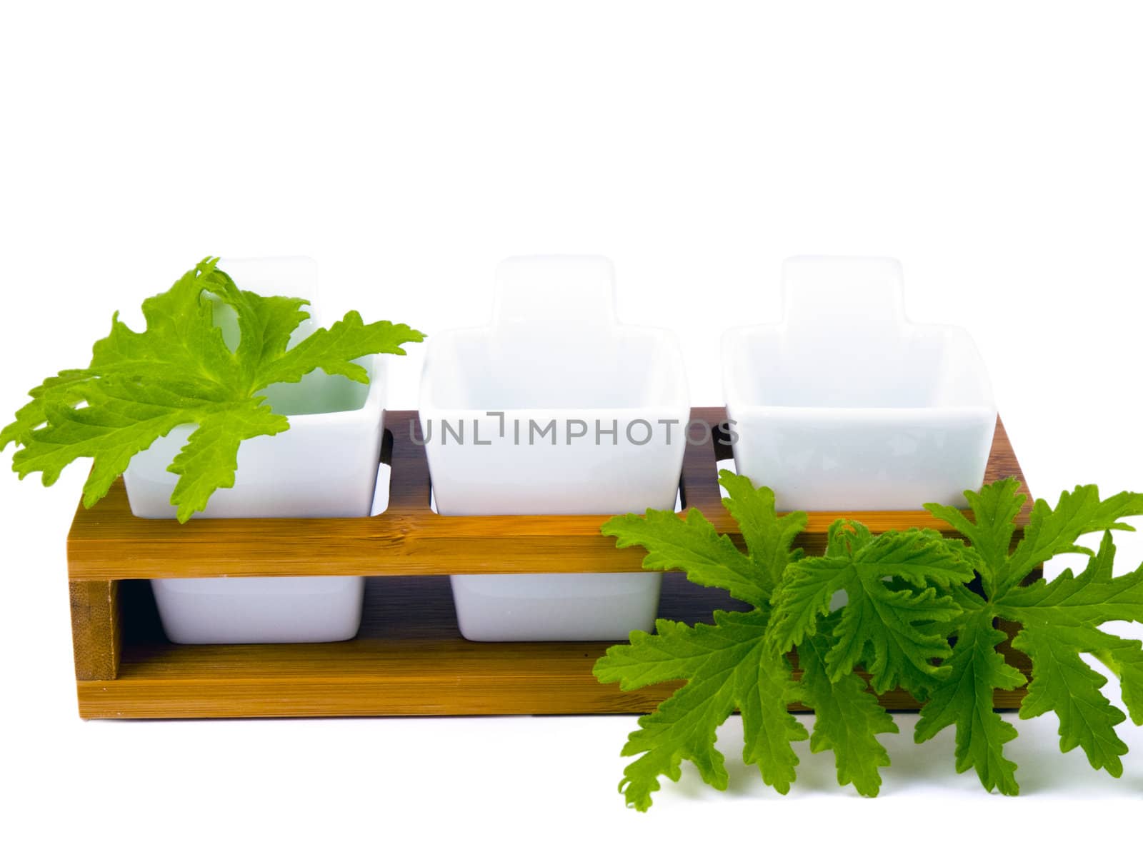 Three porceline bowls on white background