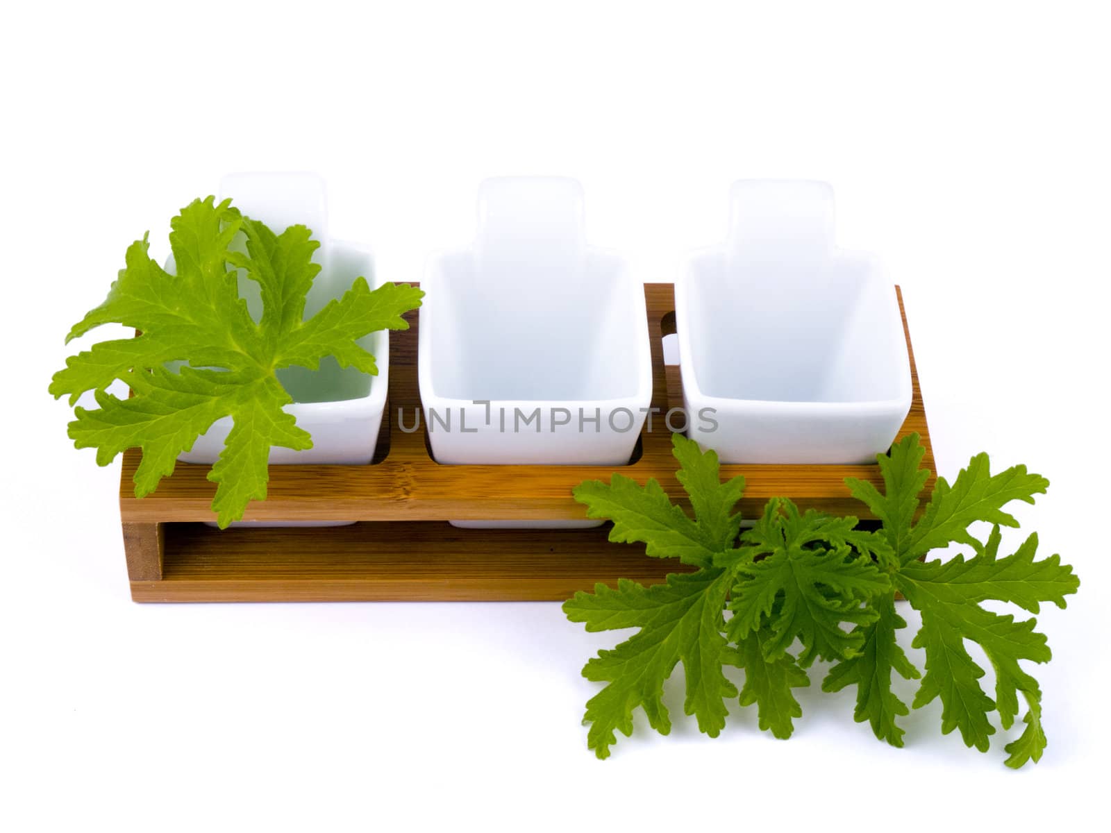 Three porceline bowls on white background