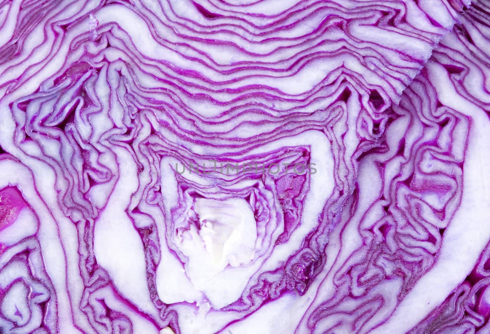 Cabbage Texture by werg