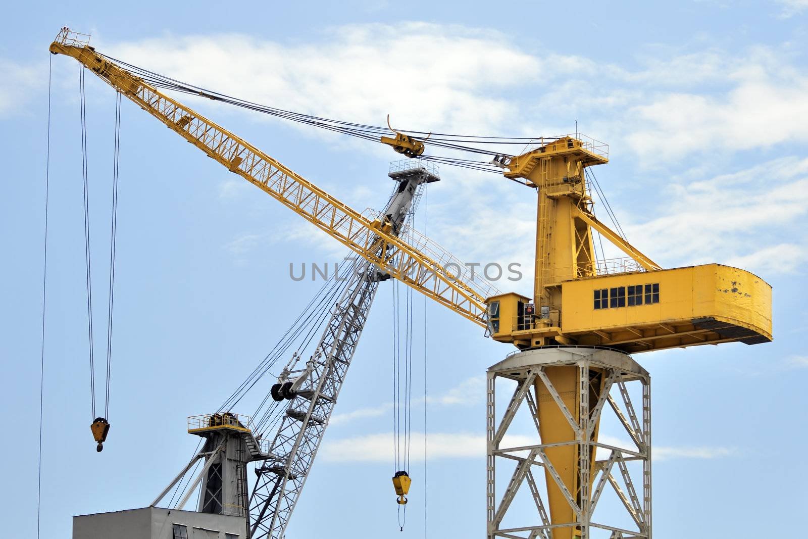 Cranes by lebanmax