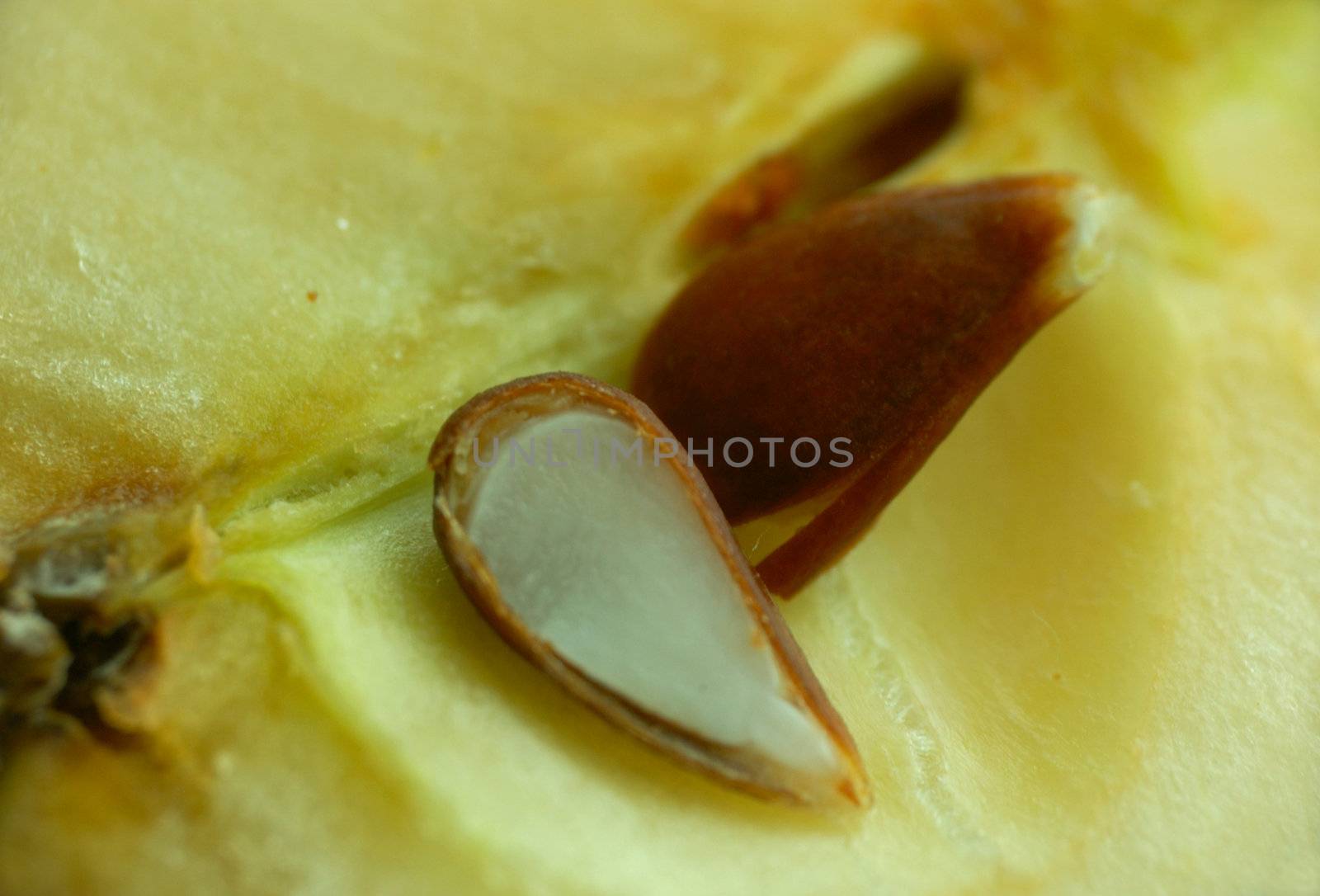 macro pattern of apple slice with seeds