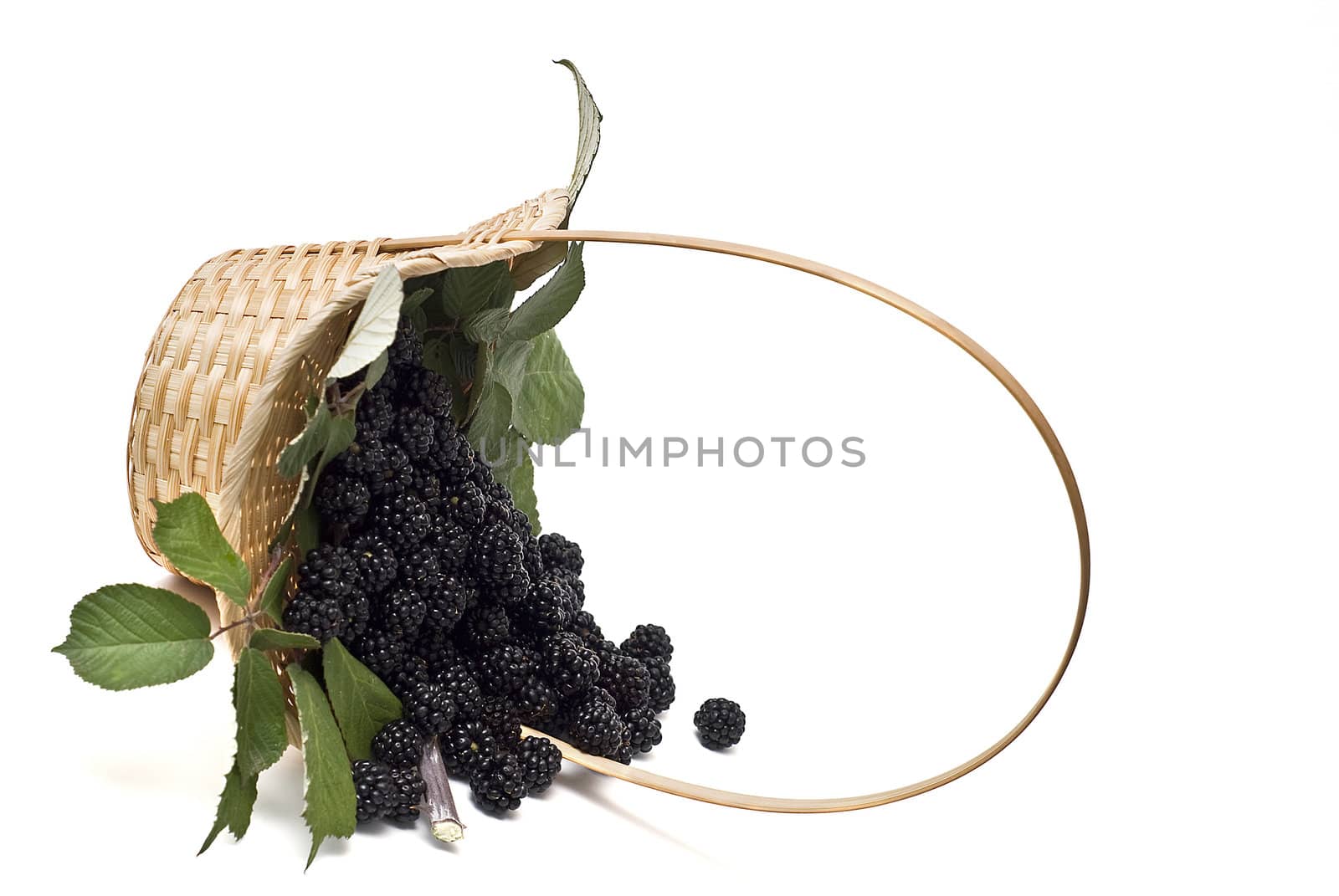 Blackberries isolated on a white background.