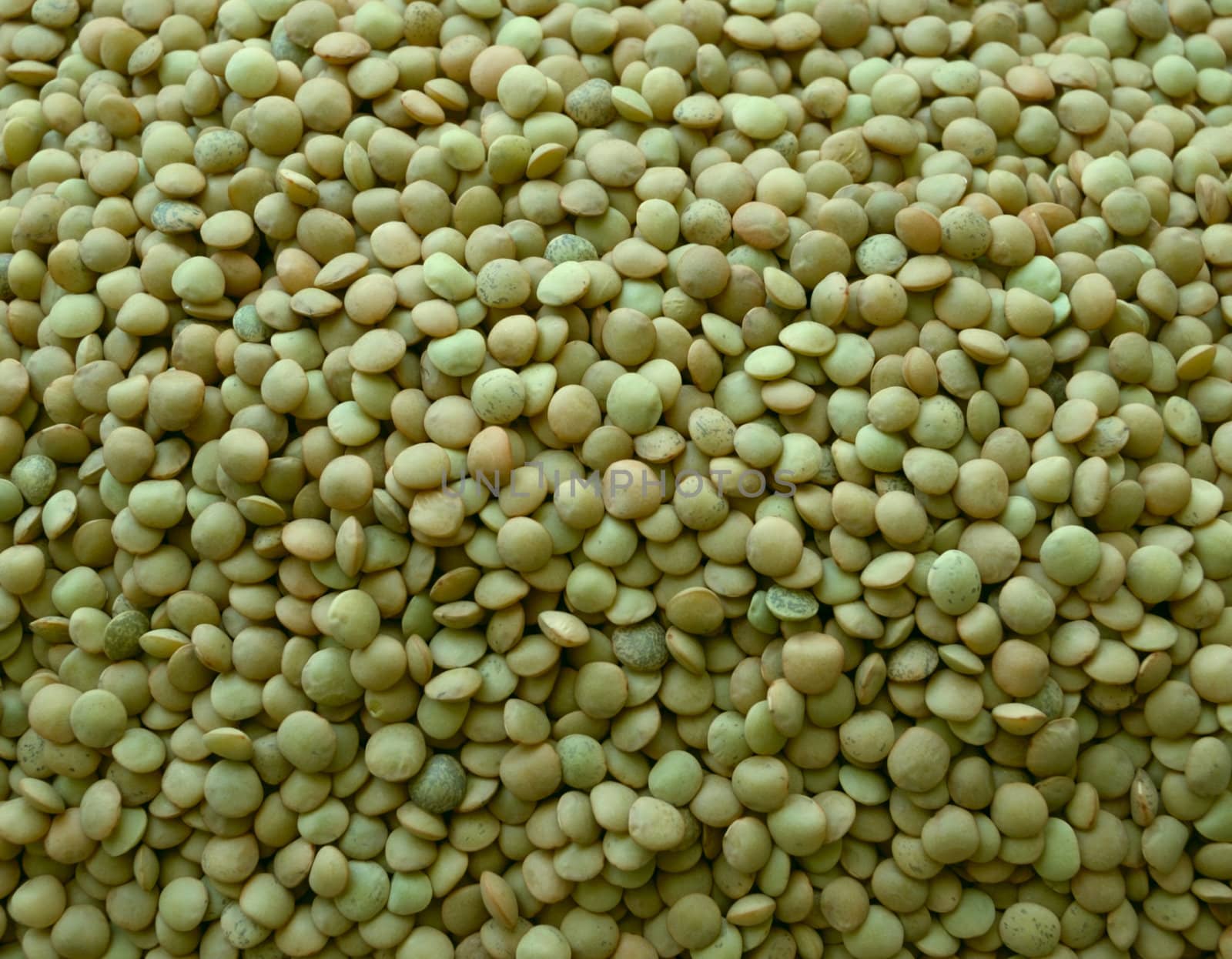 macro pattern of green lentil ( bob )
