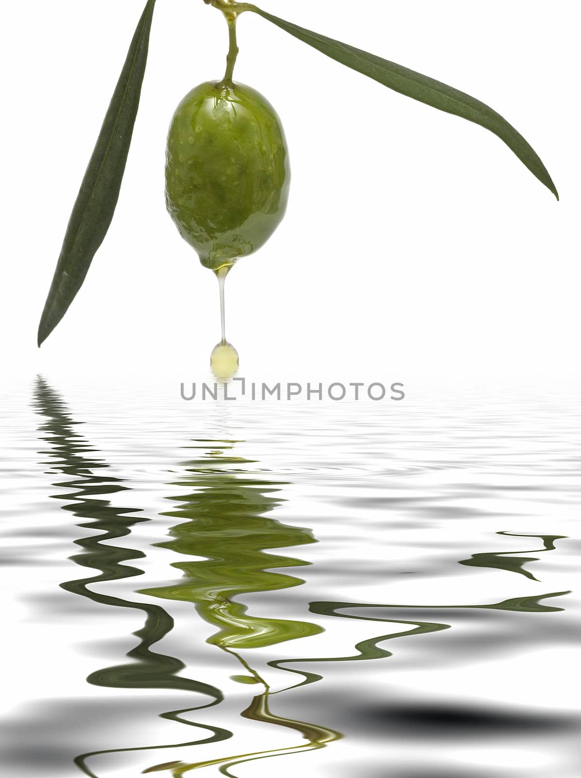 Oil dripping from an olive. by angelsimon