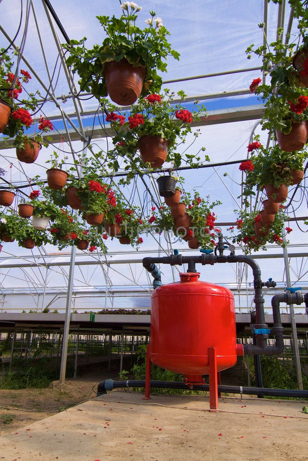 Glasshouse with plants and fertilization equipment