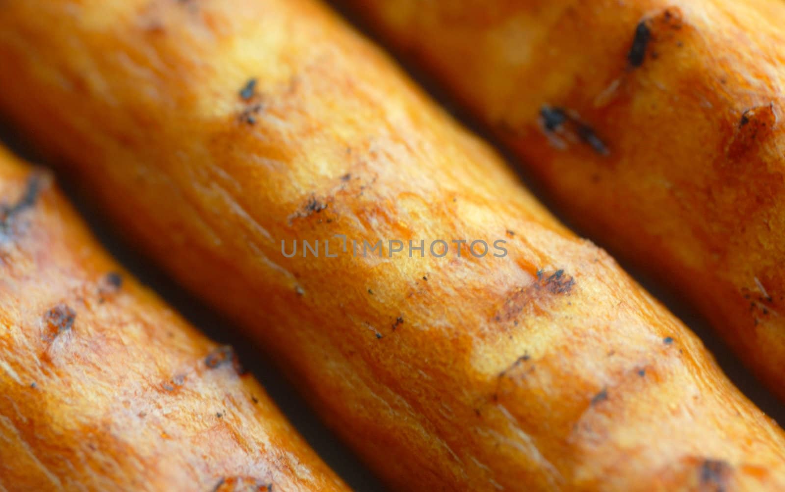 dried crust sticks by mettus