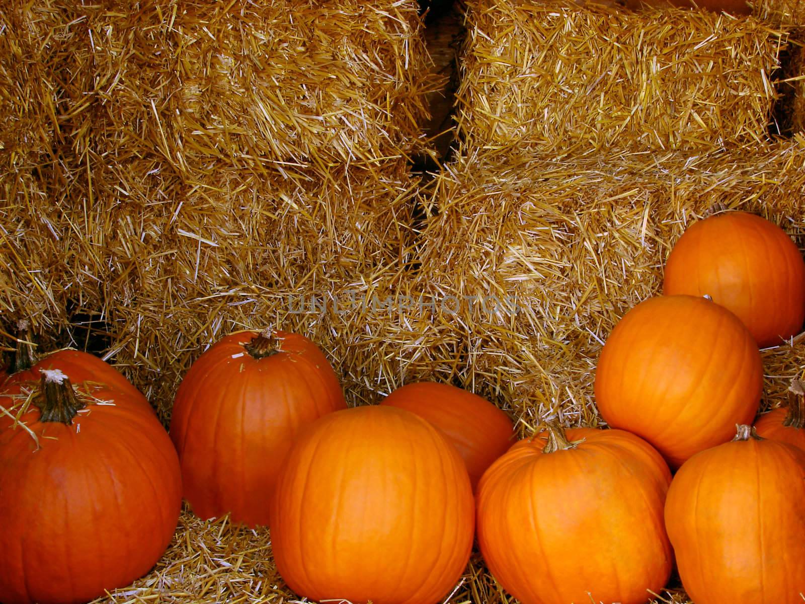 Pumpkins and hay by Thorvis