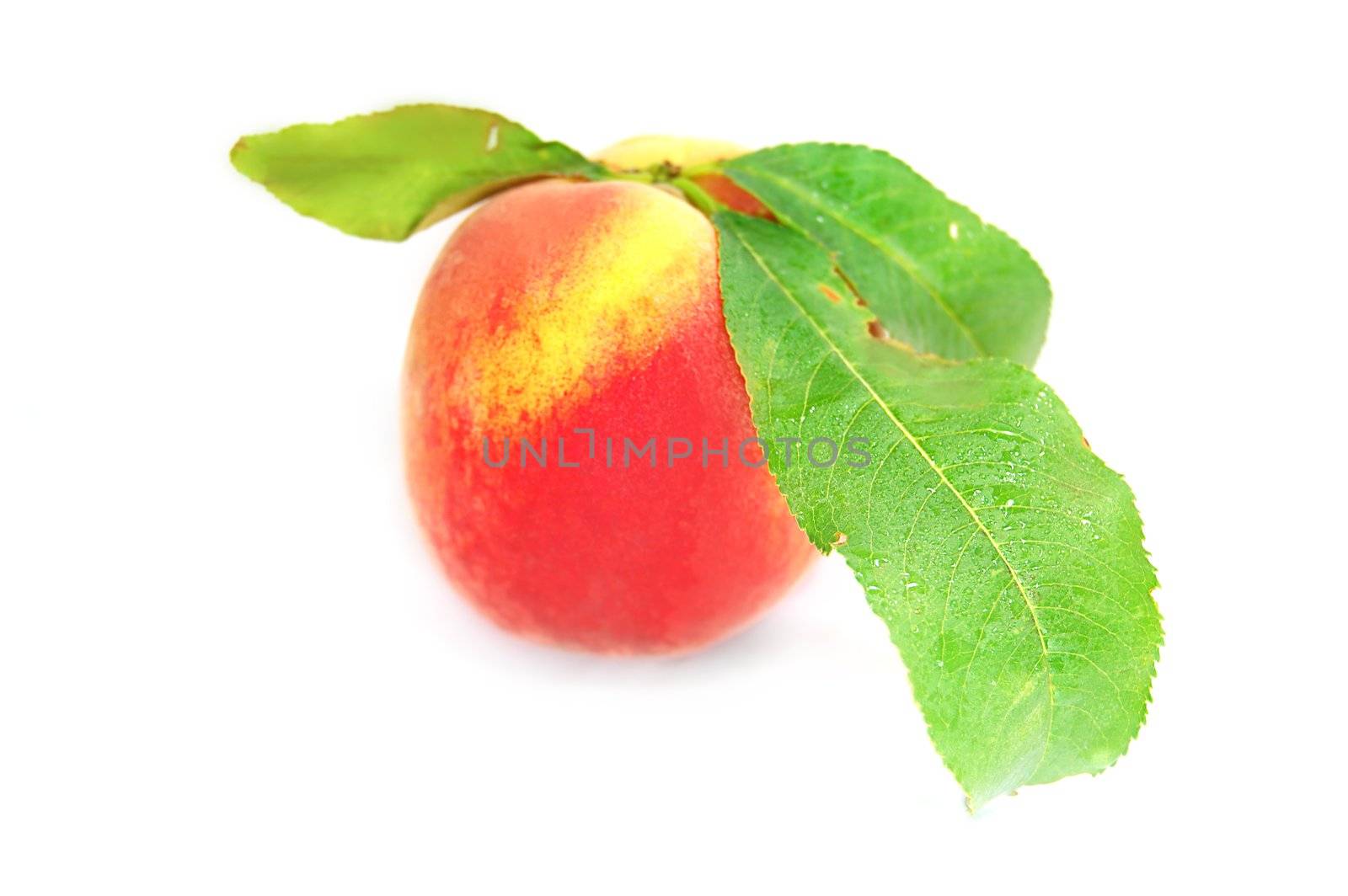 ripe peach fruit with green leafs isolated on white
