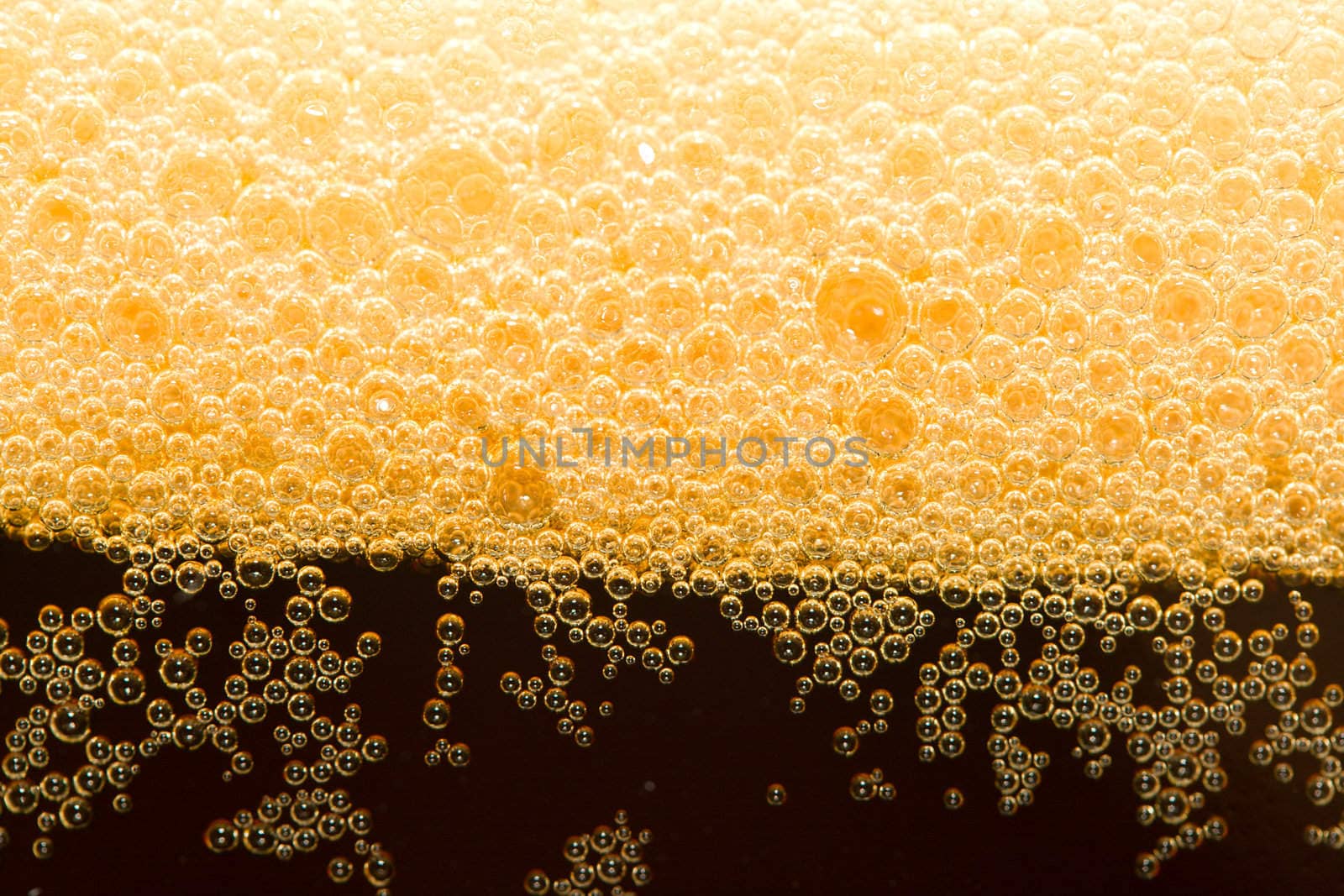 close-up dark beer with foam by Alekcey