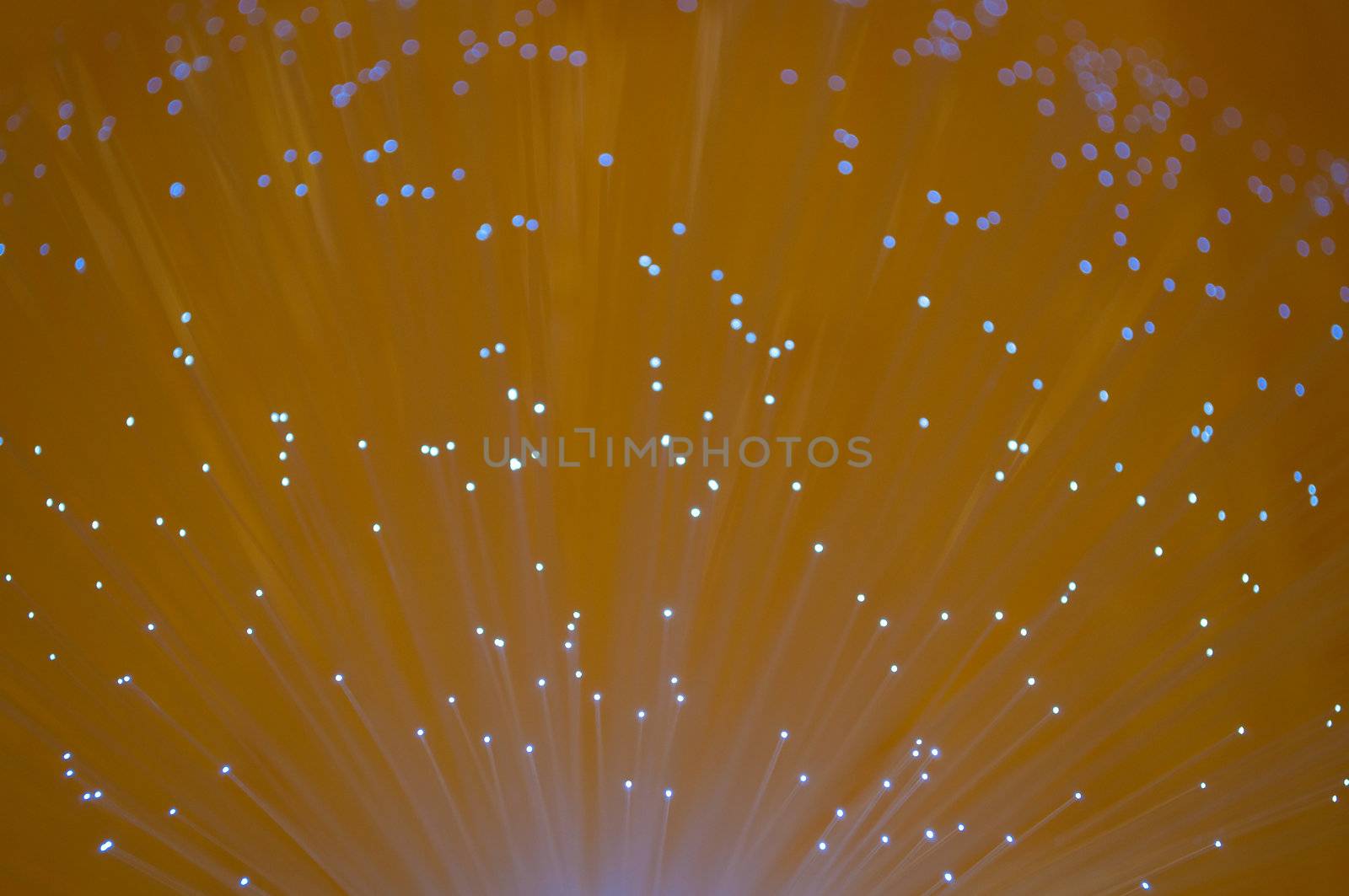 Close and low level angle capturing the ends of many illuminated fibre optic light strands.