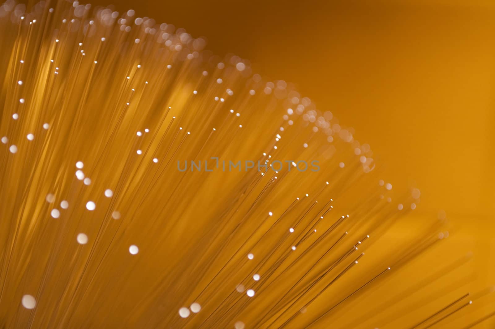 Close and low level angle capturing the ends of many golden illuminated fibre optic light strands.