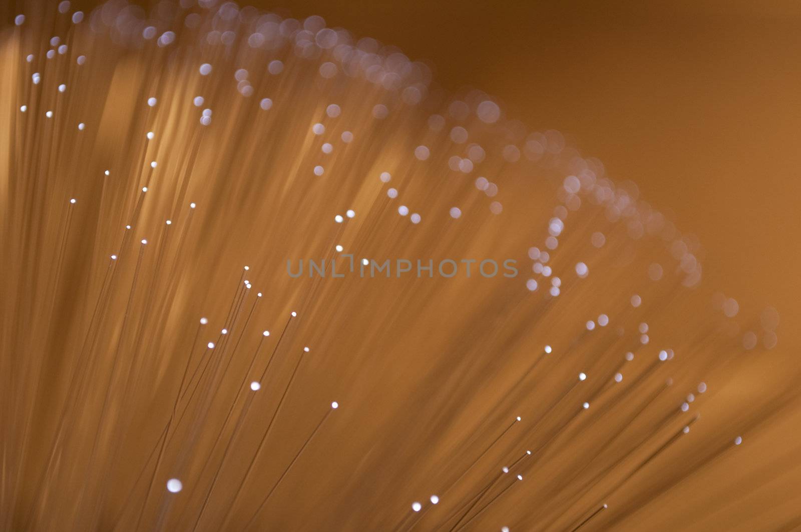 Close and low level angle capturing the ends of many illuminated fibre optic light strands.