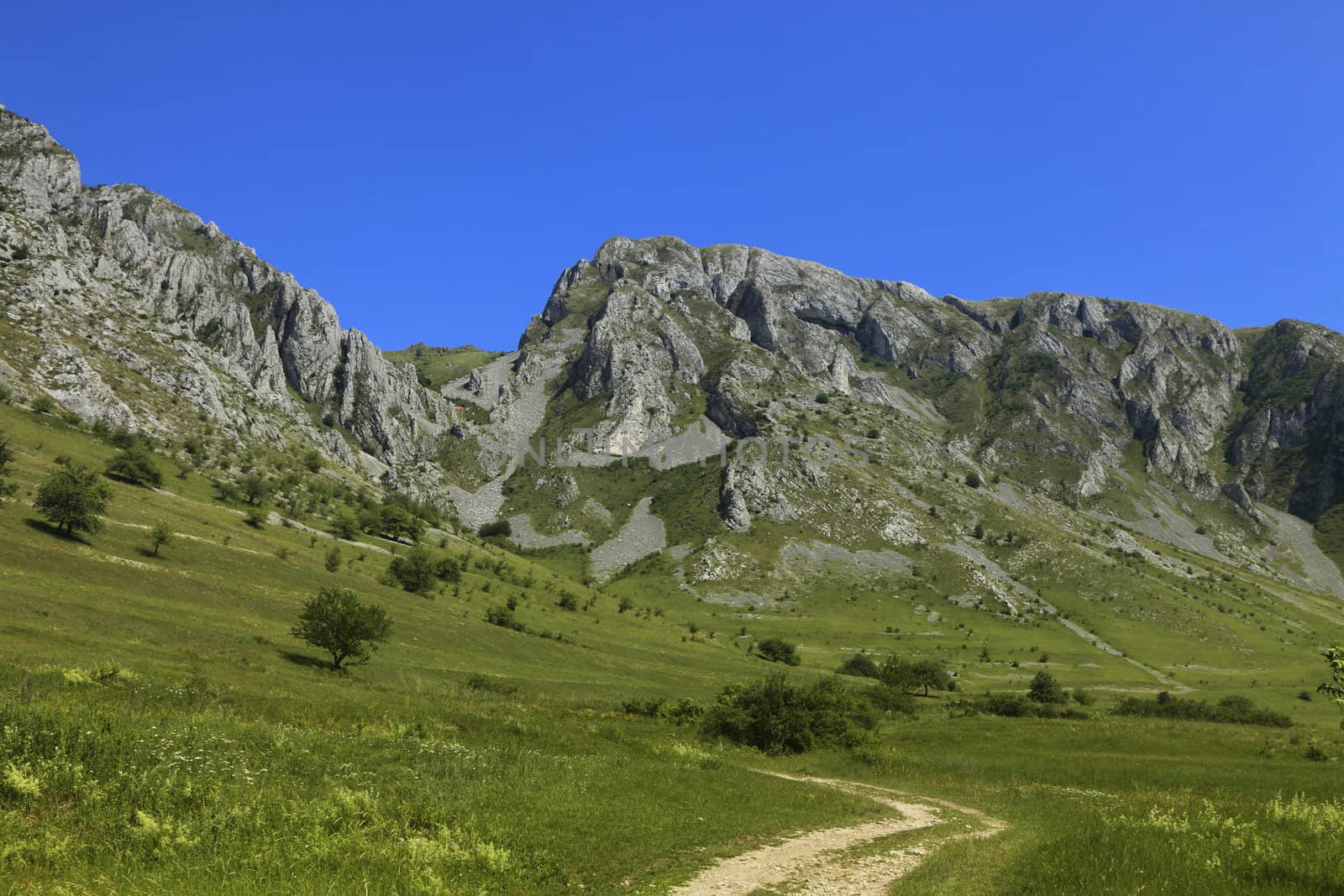 Summer image with rocks,green trees and blue sky in Trascau Mountains,Transylvania,Romania.
