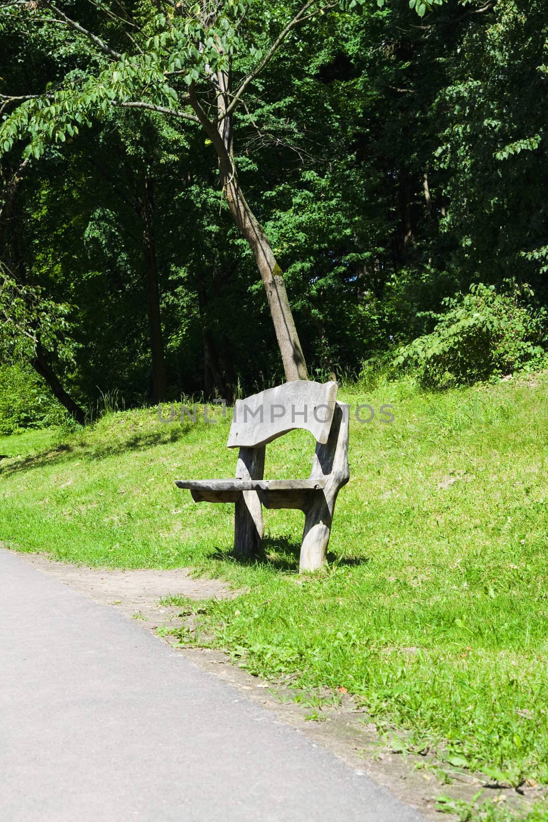 Wooden bench looking beautiful in green nature