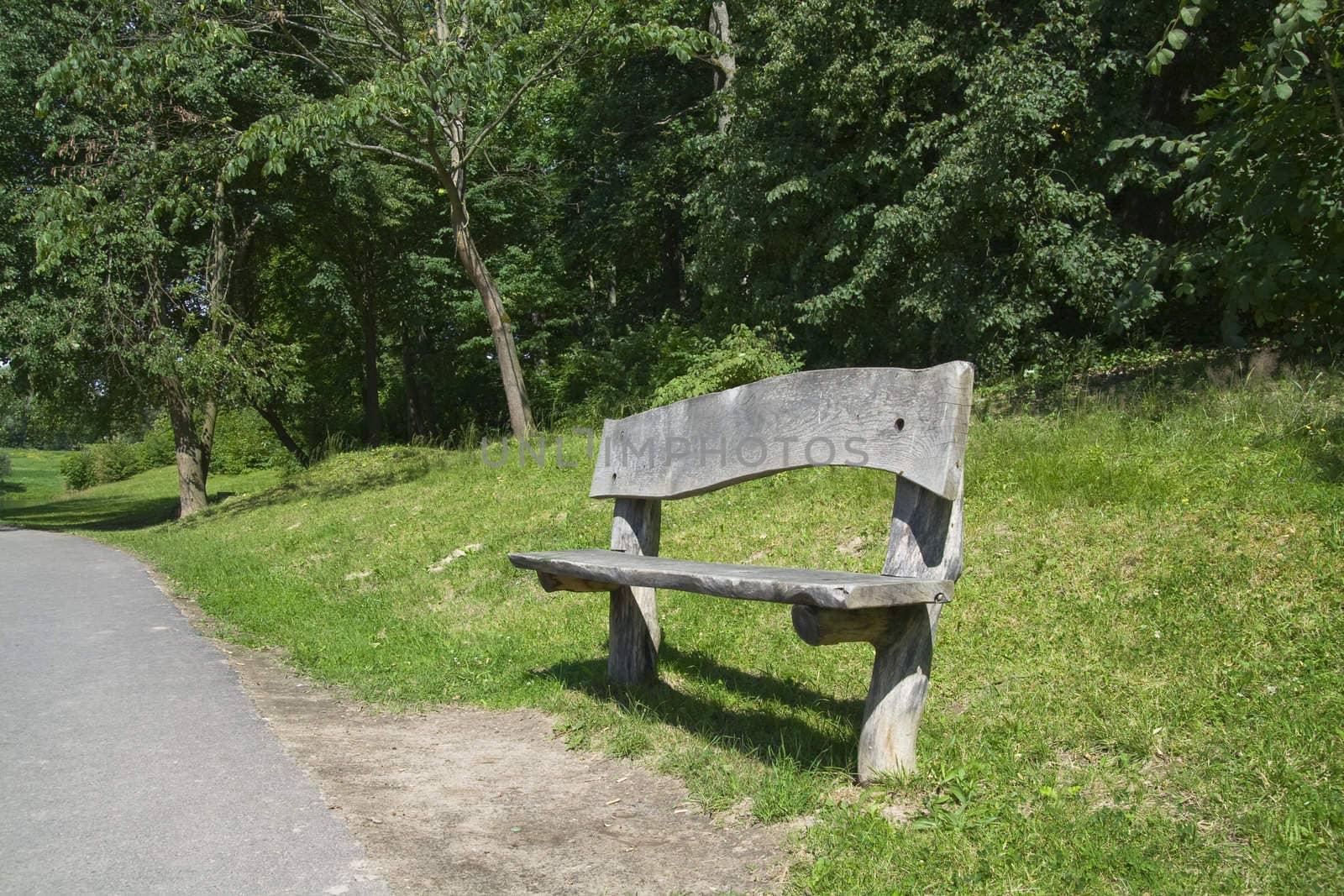 Wooden bench looking beautiful in green nature