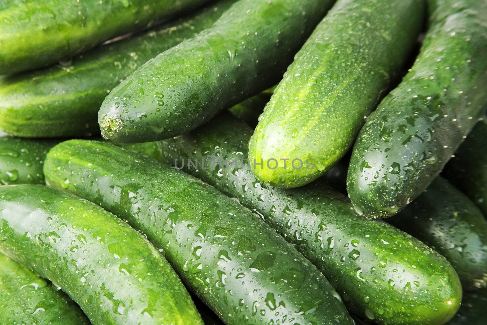Cucumbers by Creatista