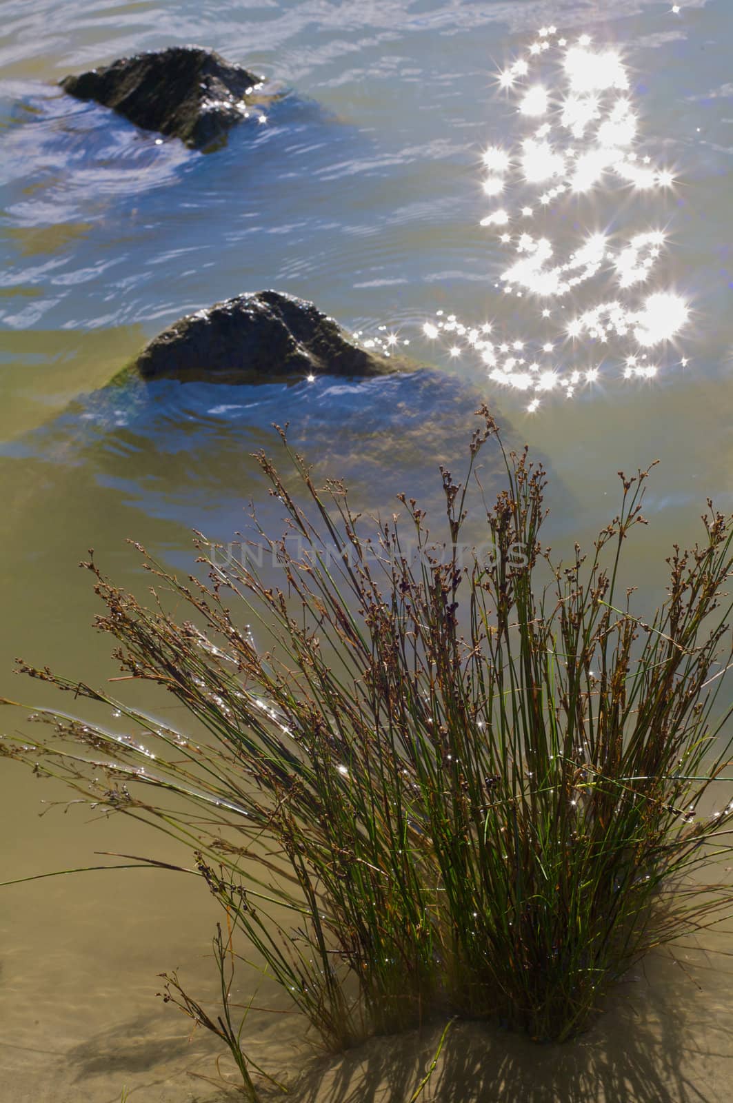 Sun twinkling on the water.