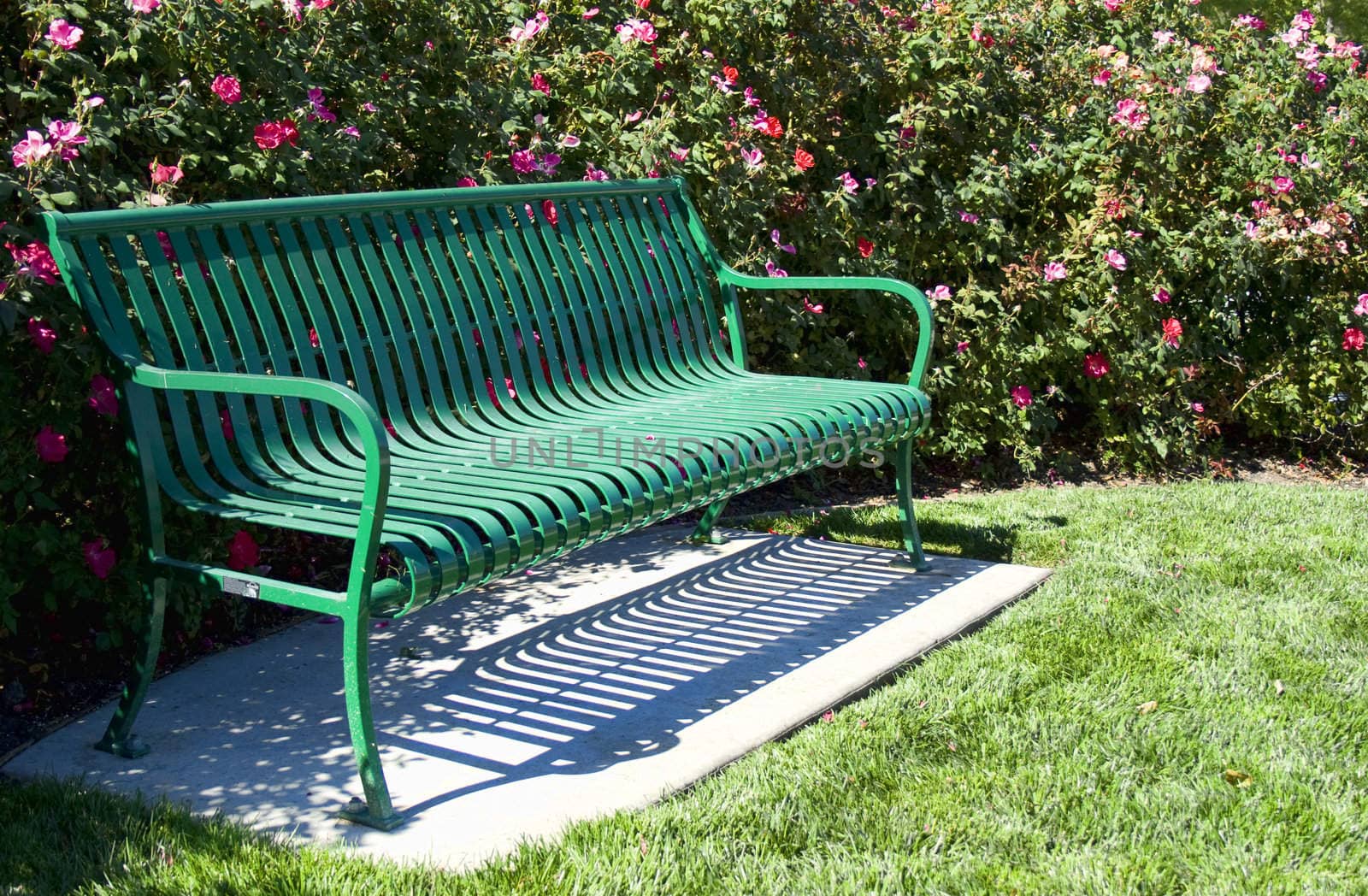 Empty metal green bench with flowers