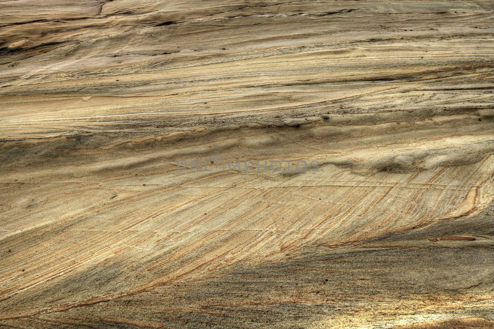 Sandstone Rock Texture at Cape Kiwanda Cliff