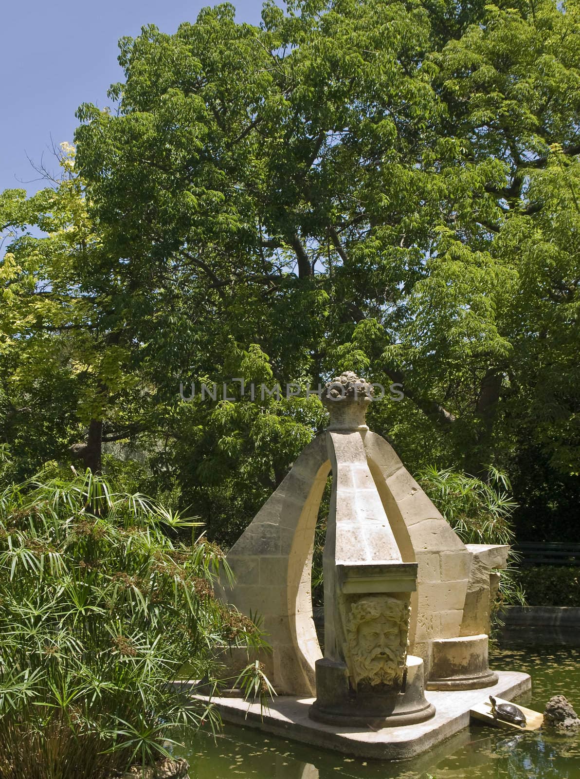 Garden Pond by PhotoWorks