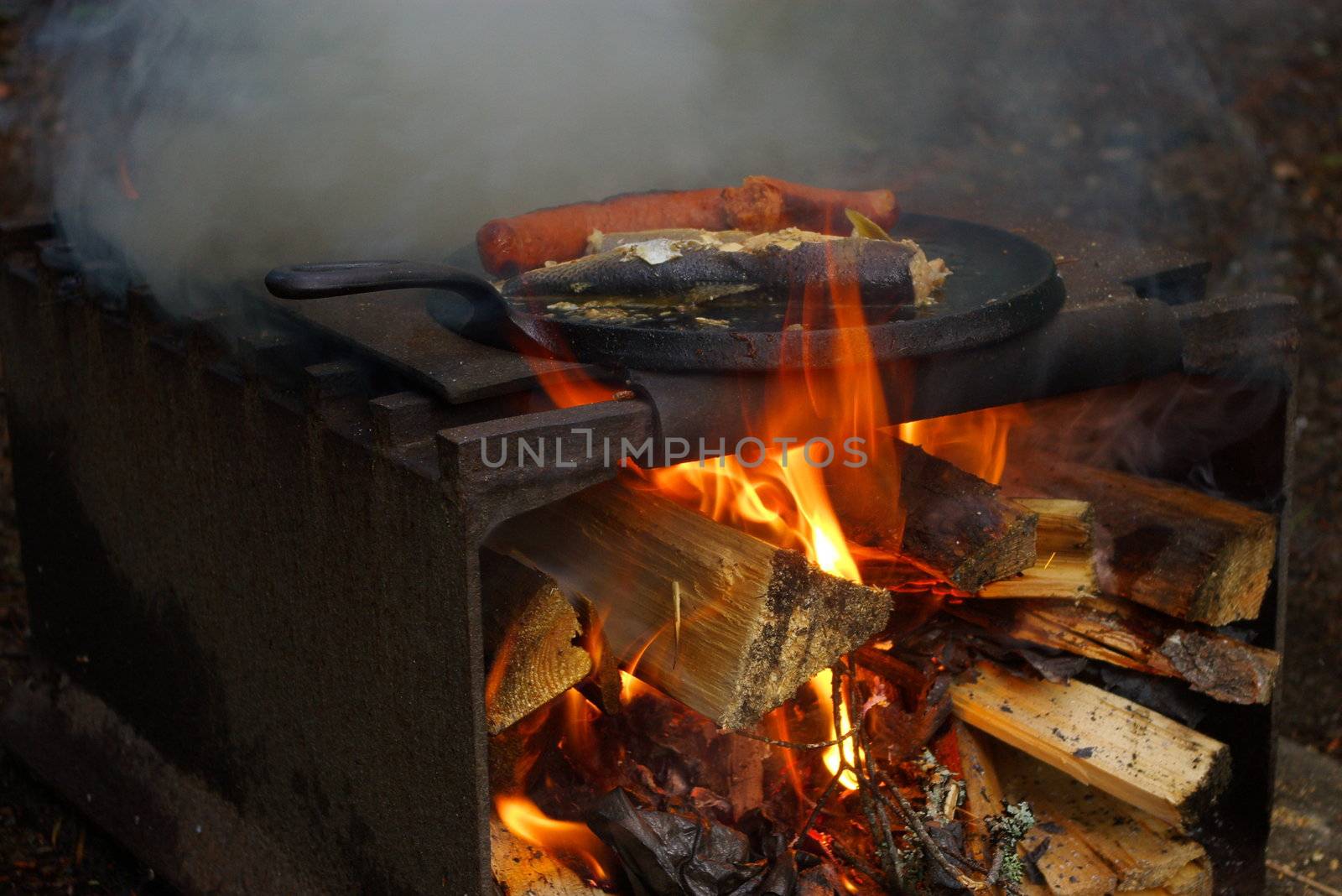 Frying trout on a campfire