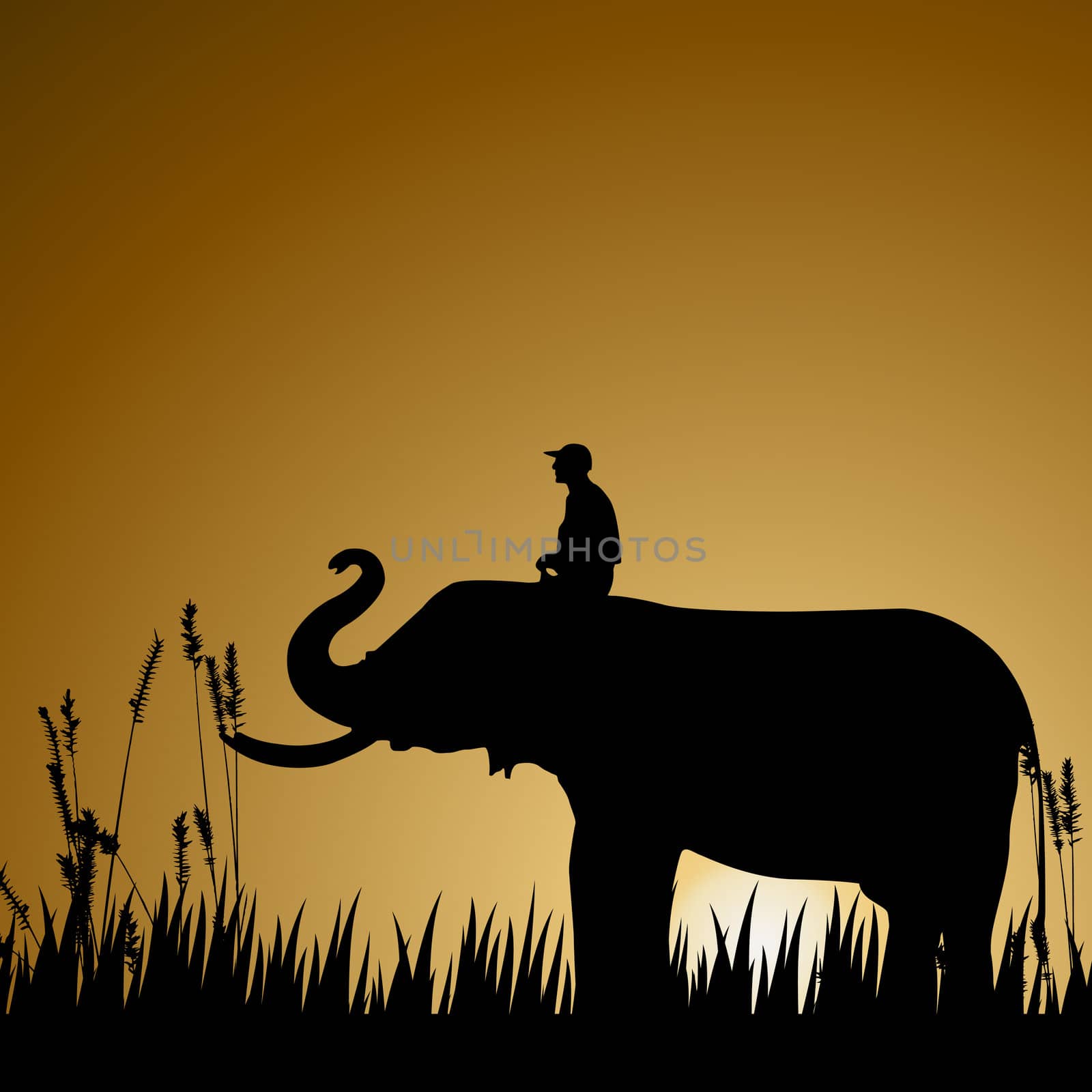 silhouette of an elephant with human, wildlife by abhishek4383