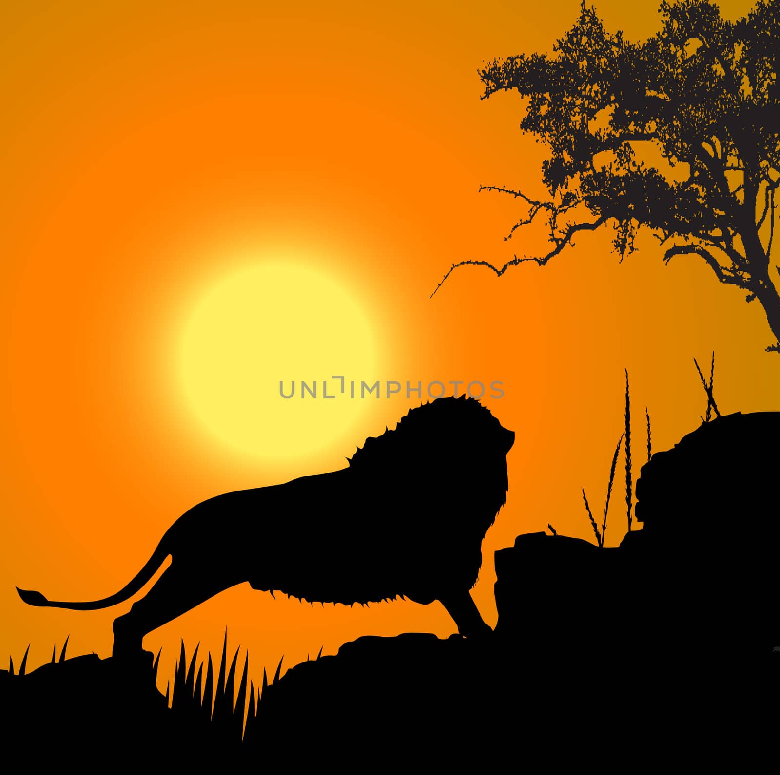silhouette view of lion, wildlife, sun background by abhishek4383