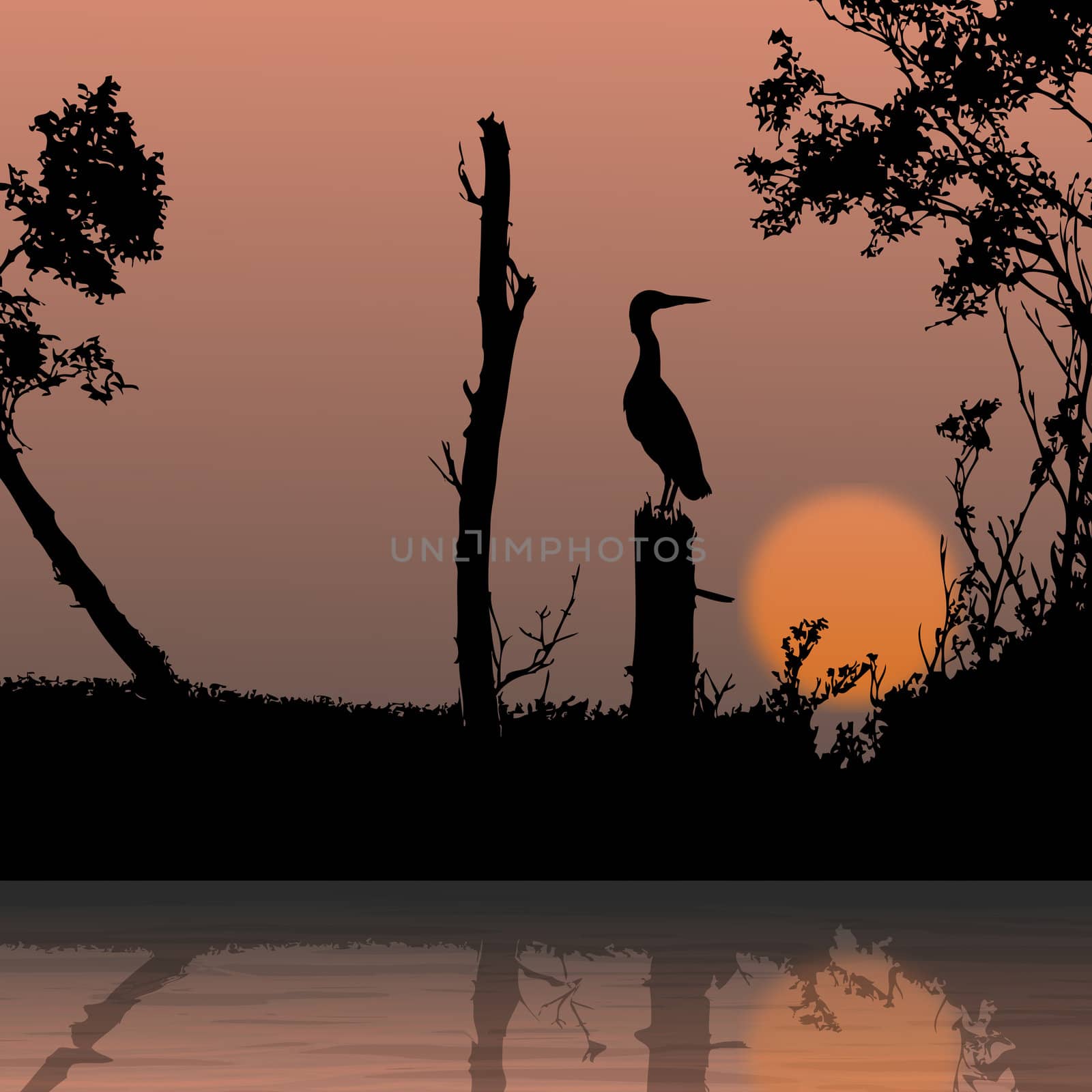 silhouette view of bird on a branch, wildlife by abhishek4383