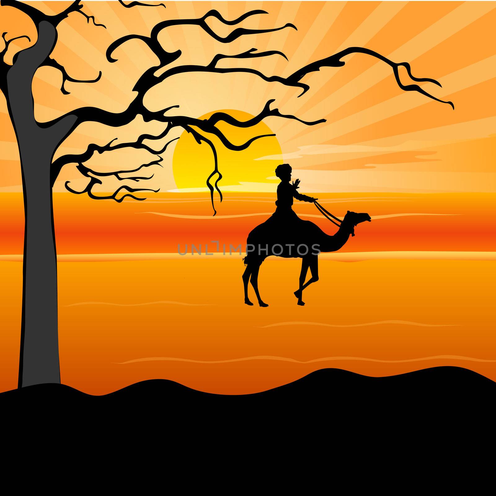 silhouette of a man on camel, desert by abhishek4383